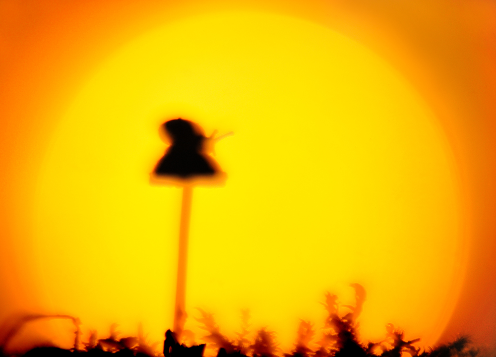 Un'insolito tramonto...