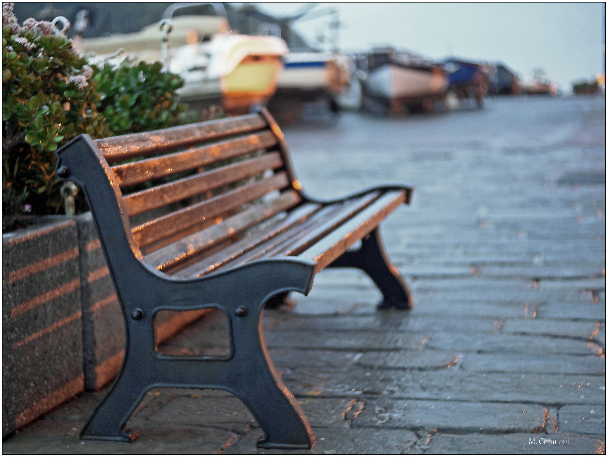 Portovenere ... the sea in winter 7