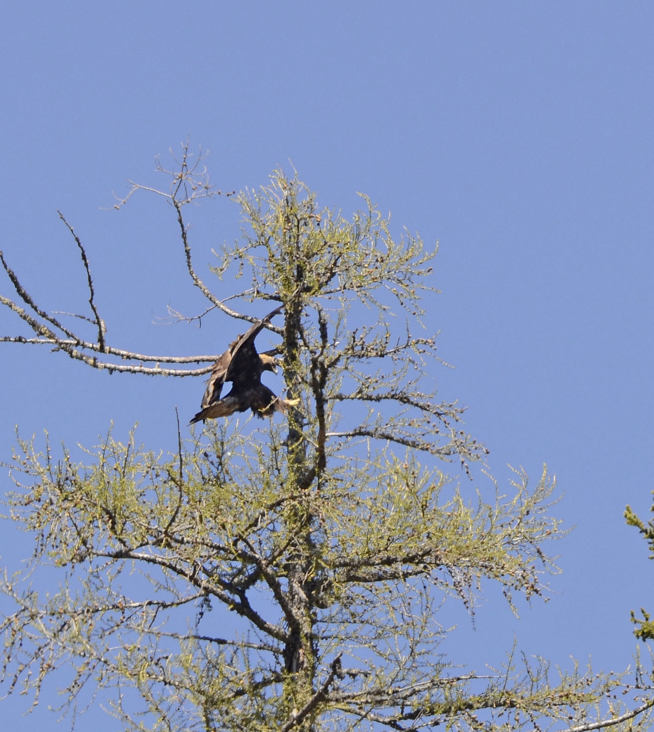 Precisione millimetrica