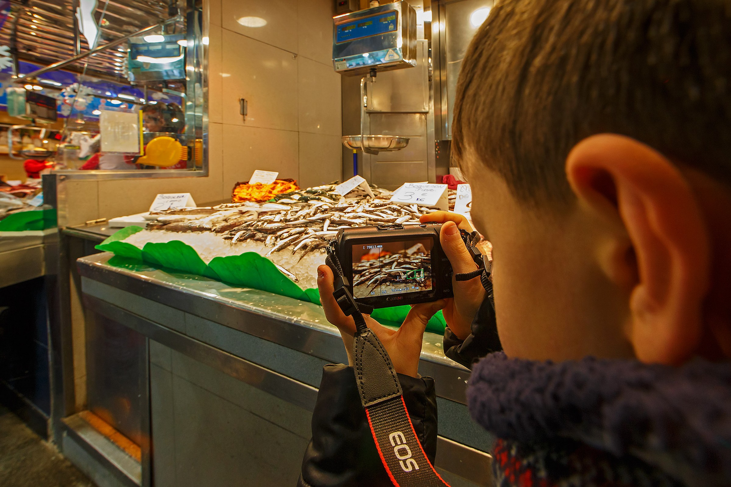 Fotografando le alici