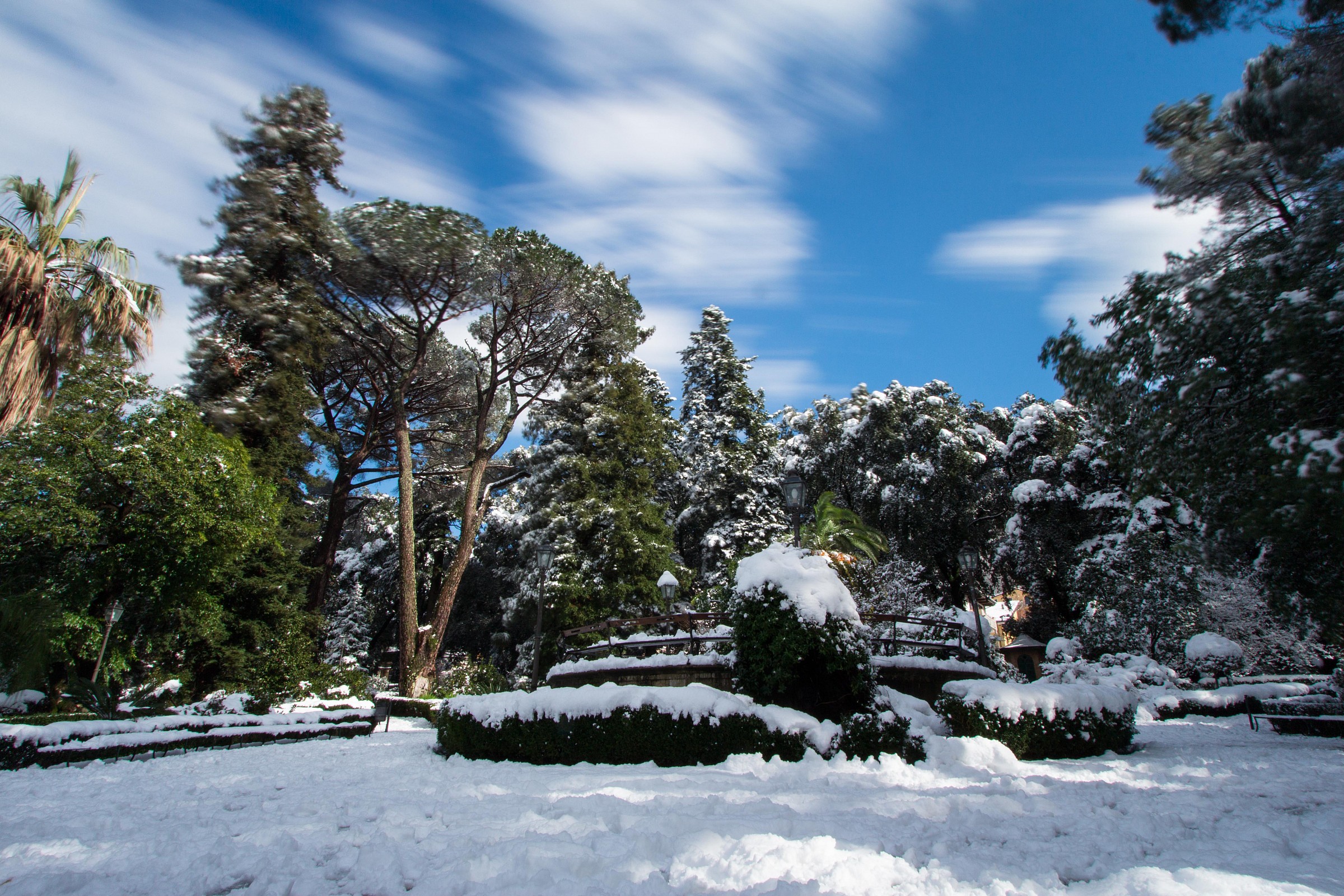 Botanical Garden of Novigrad under the snow