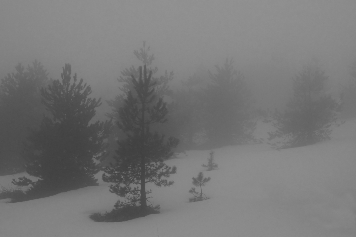 I was looking for a sunset but ...