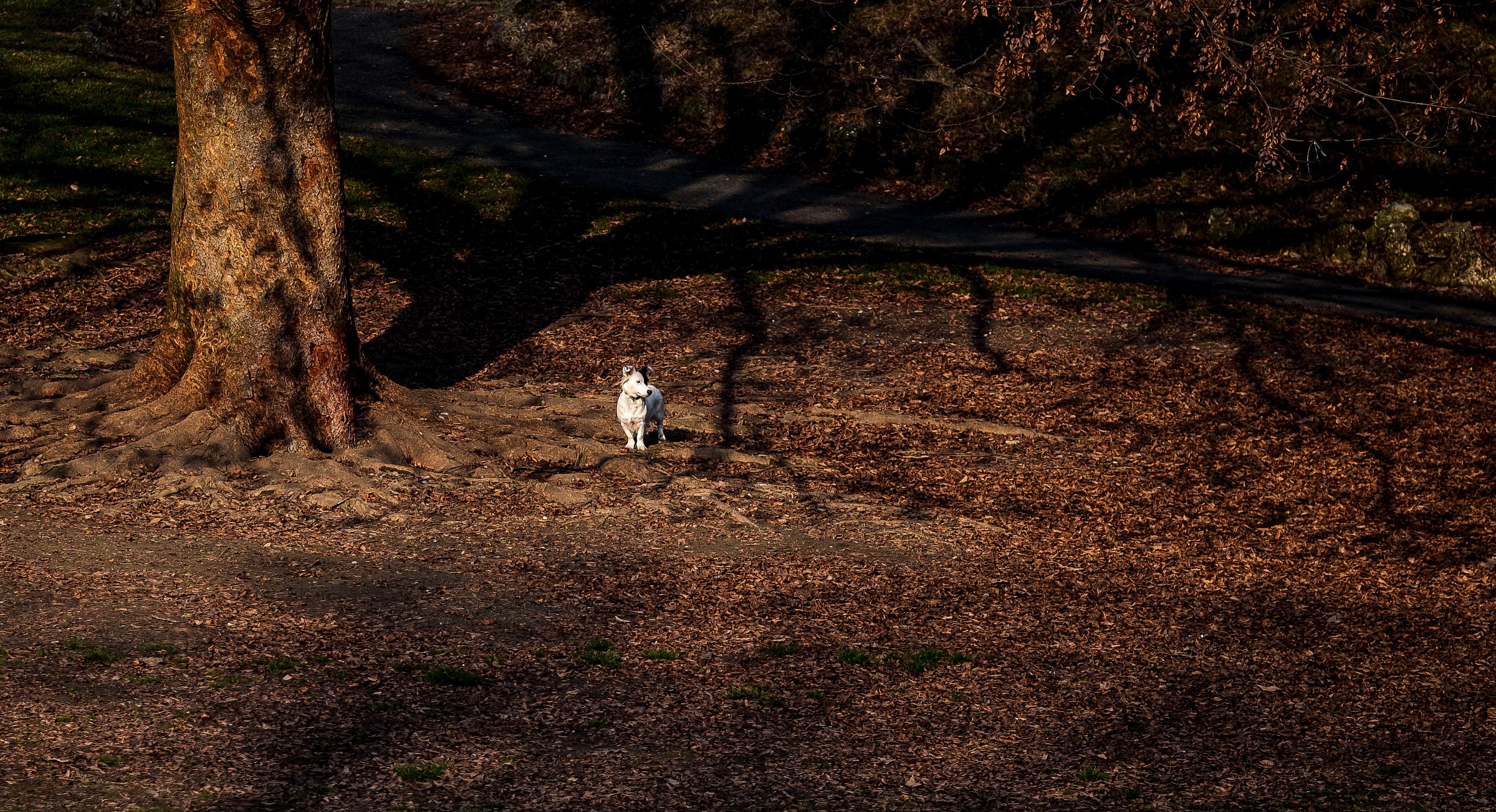 I'm not afraid ..............