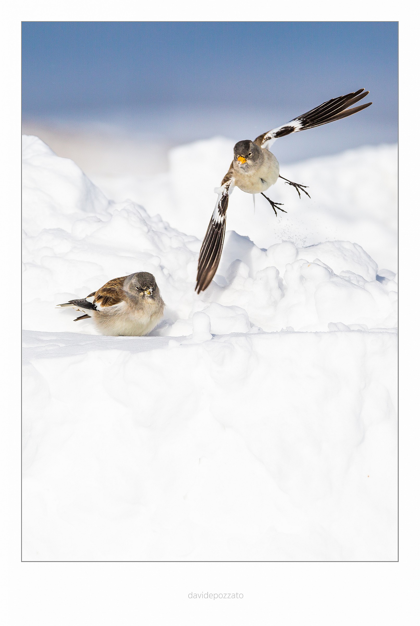 you do what you want, I'm leaving!