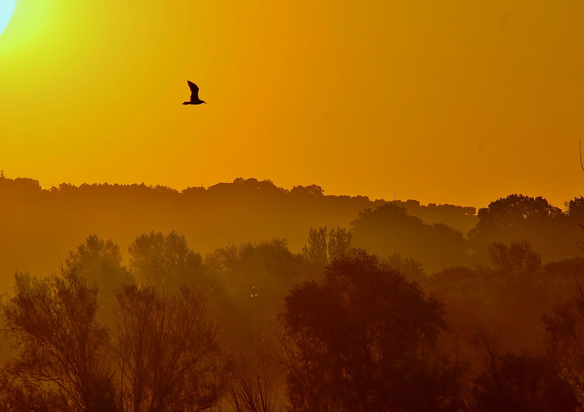 Nature reserve lake Montepulciano