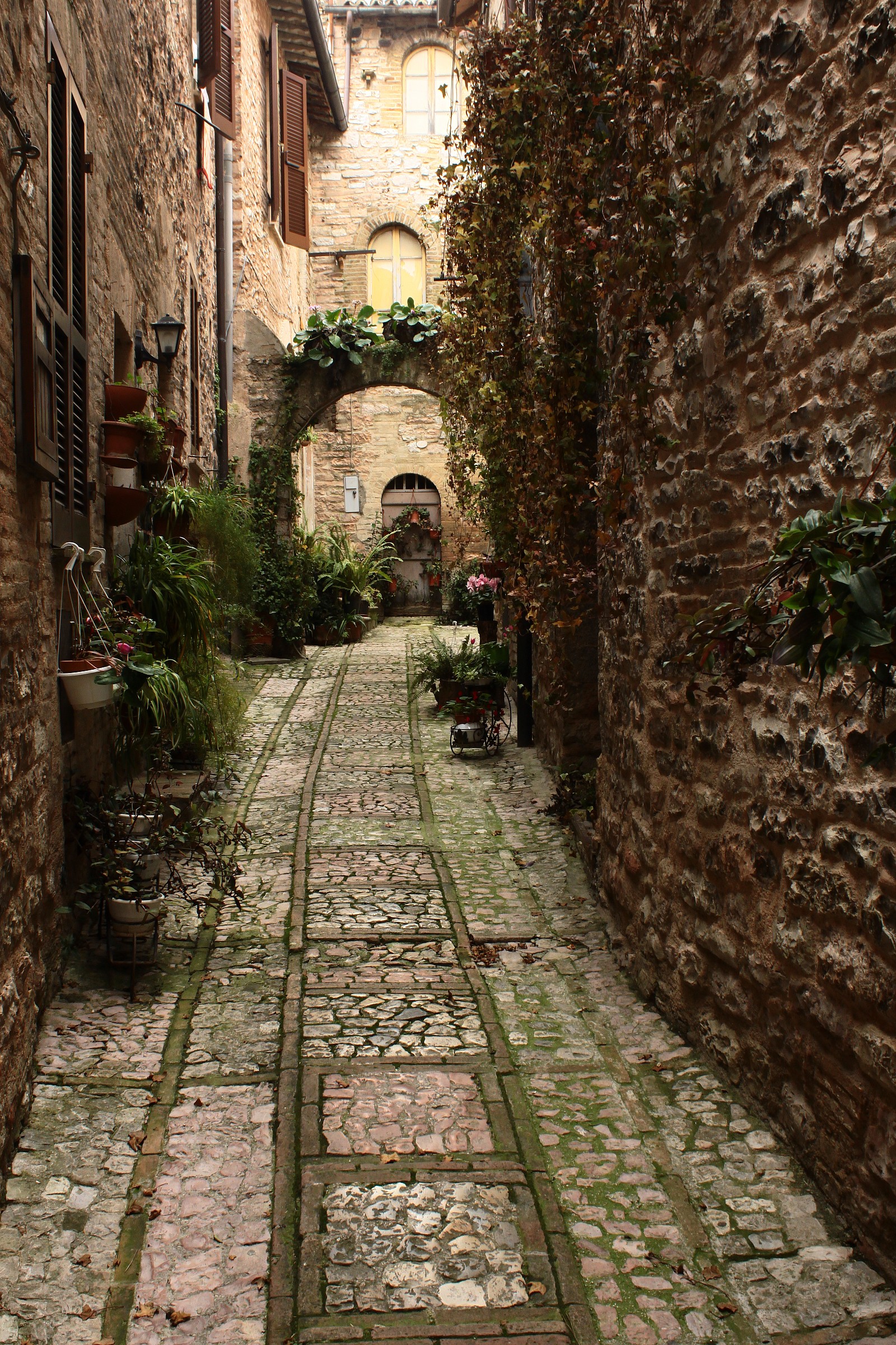 Spello (pg)