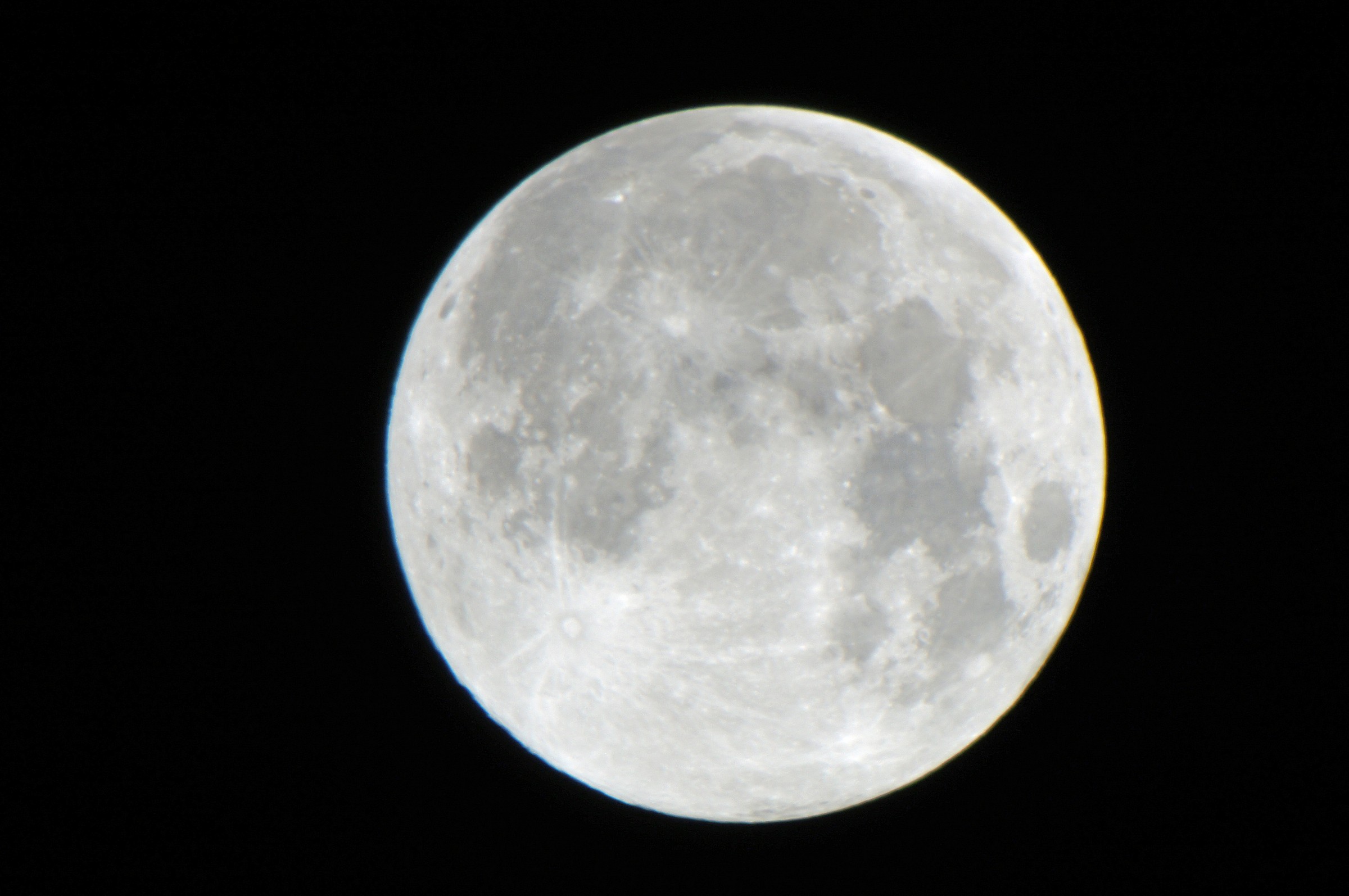 Penso non abbia bisogno di presentazioni...