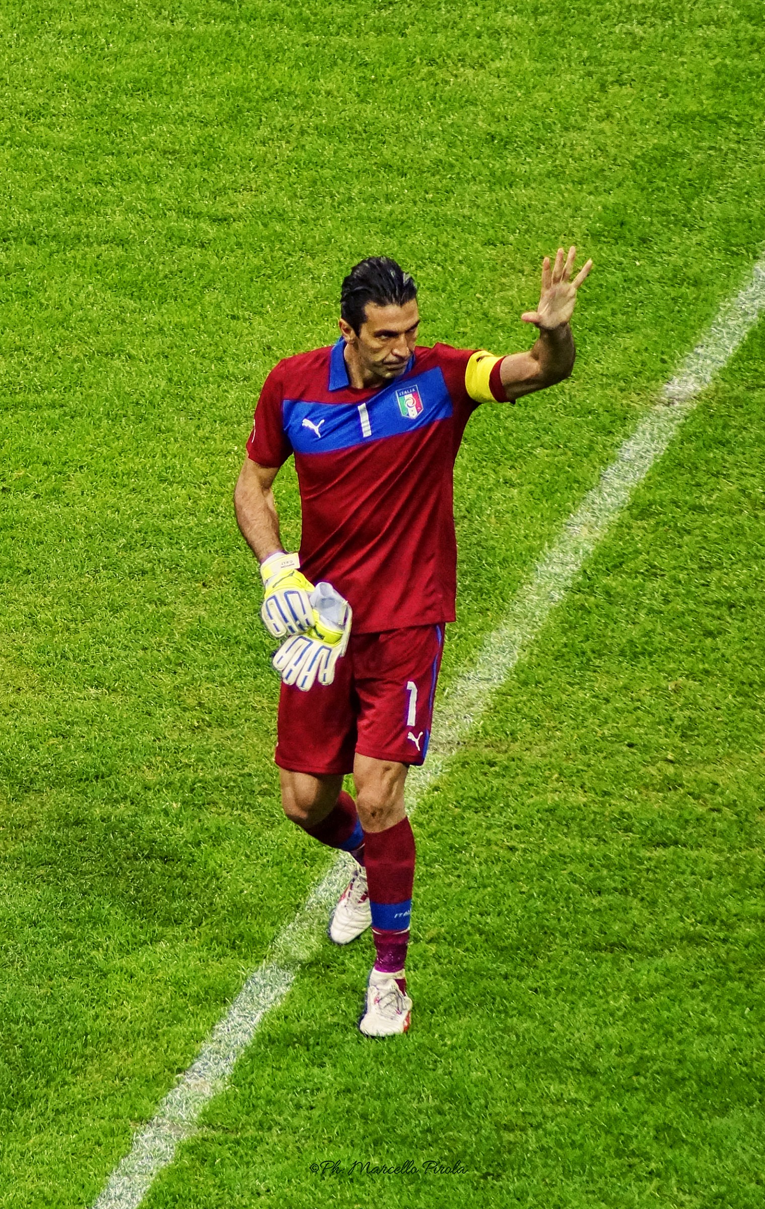 Buffon