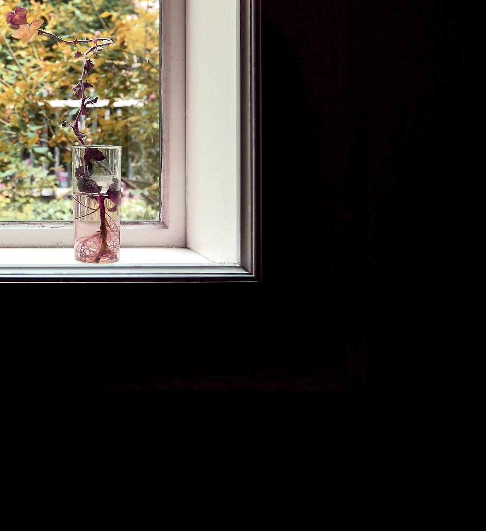 La finestra di Sudek