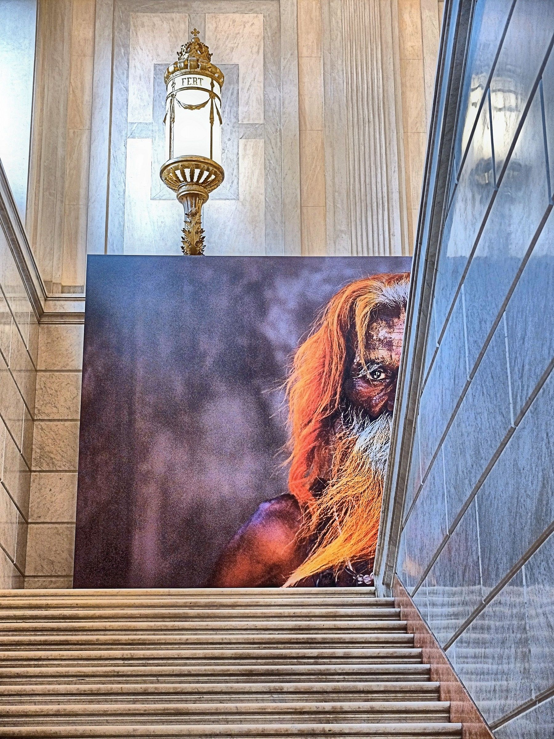 tributo a Steve McCurry