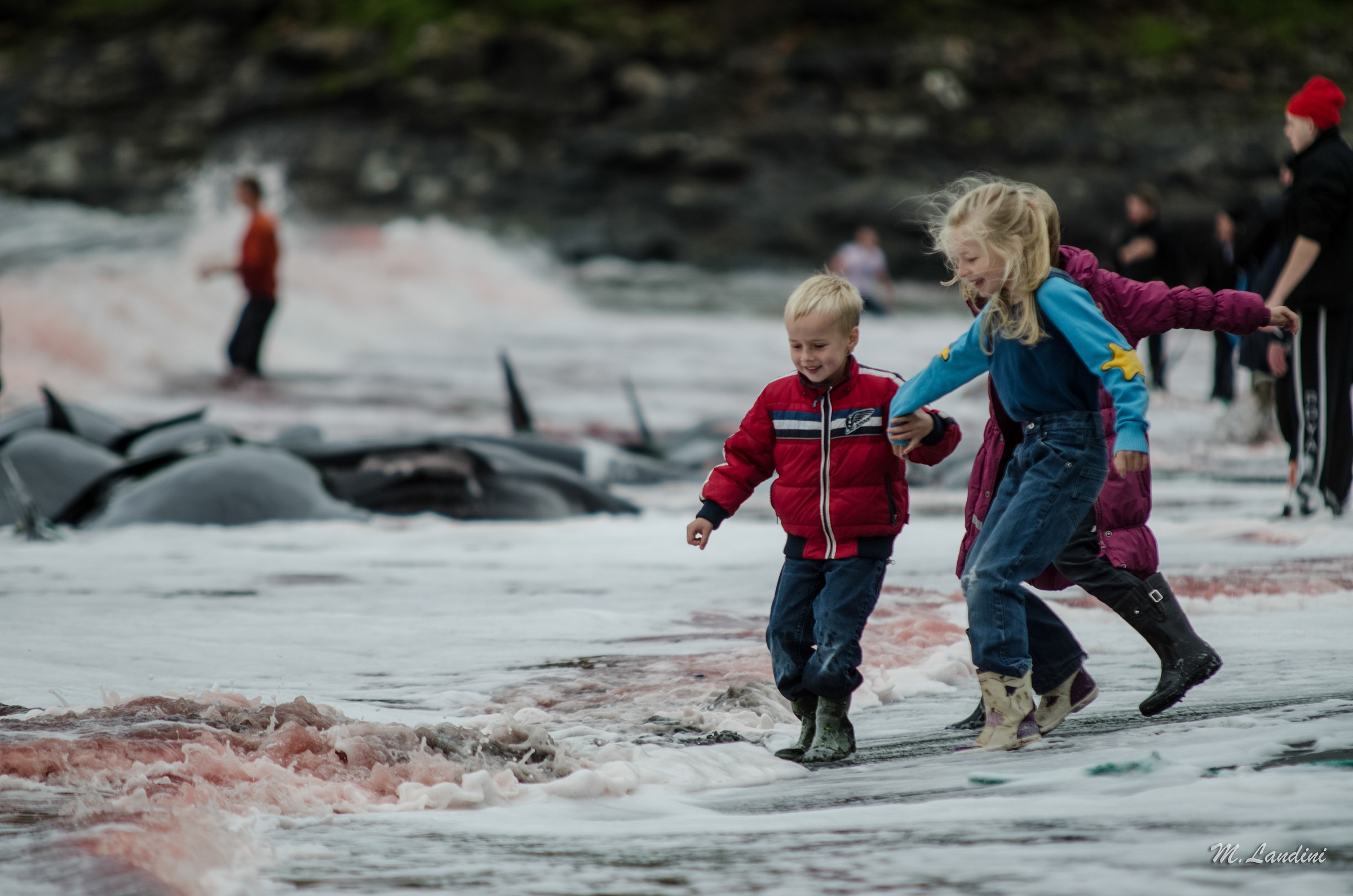 Mare Rosso. Innocenza