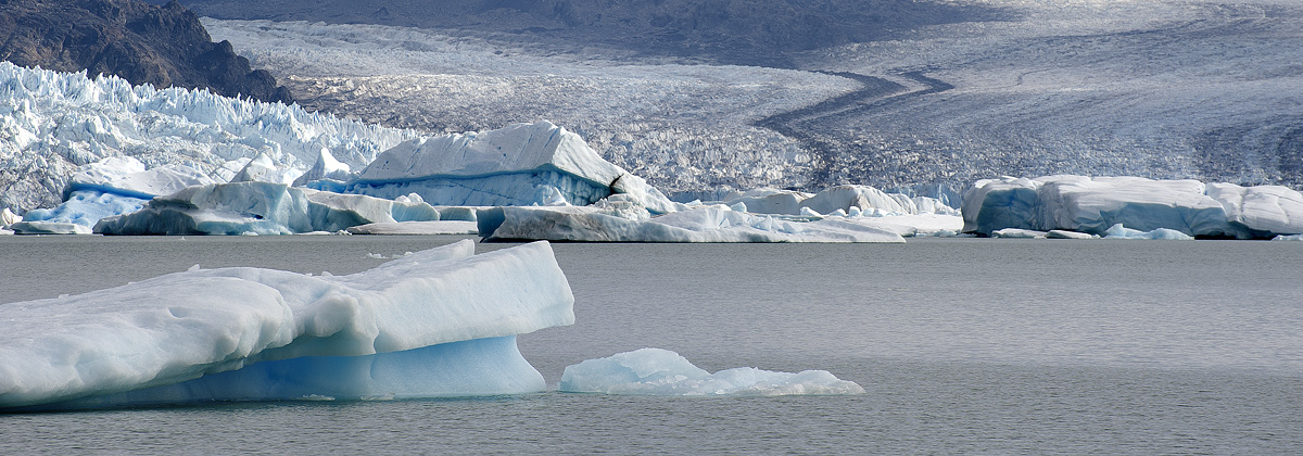 Lingua del ghiacciao Spegazzini - Patagonia