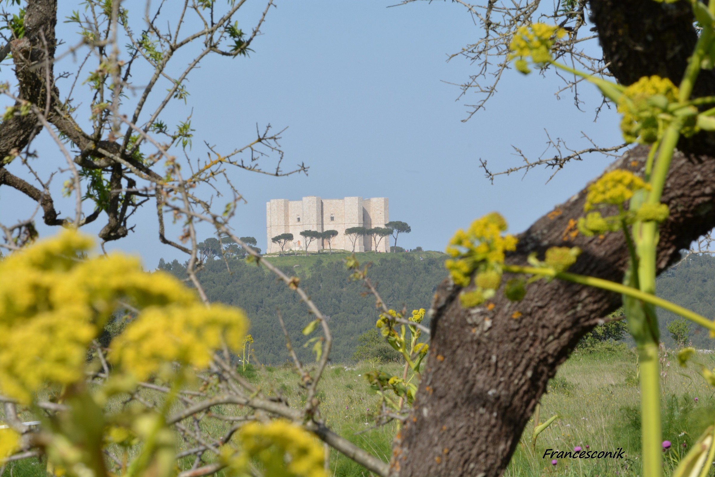 Scorgendo Castel del monte