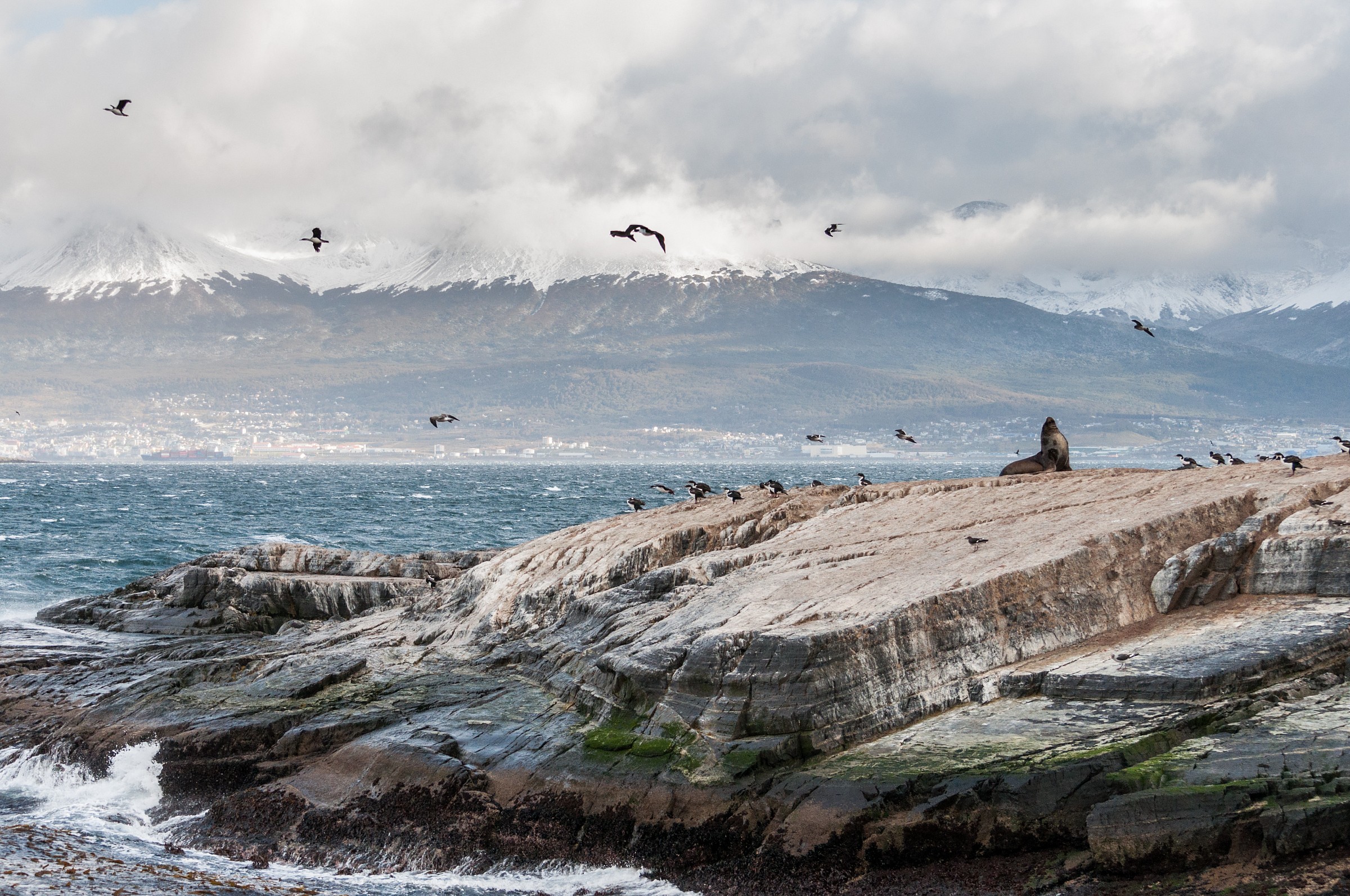 Beagle Channel on a windy day