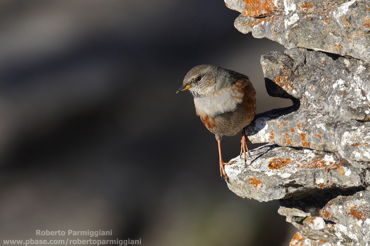 Scalinata verso il vuoto