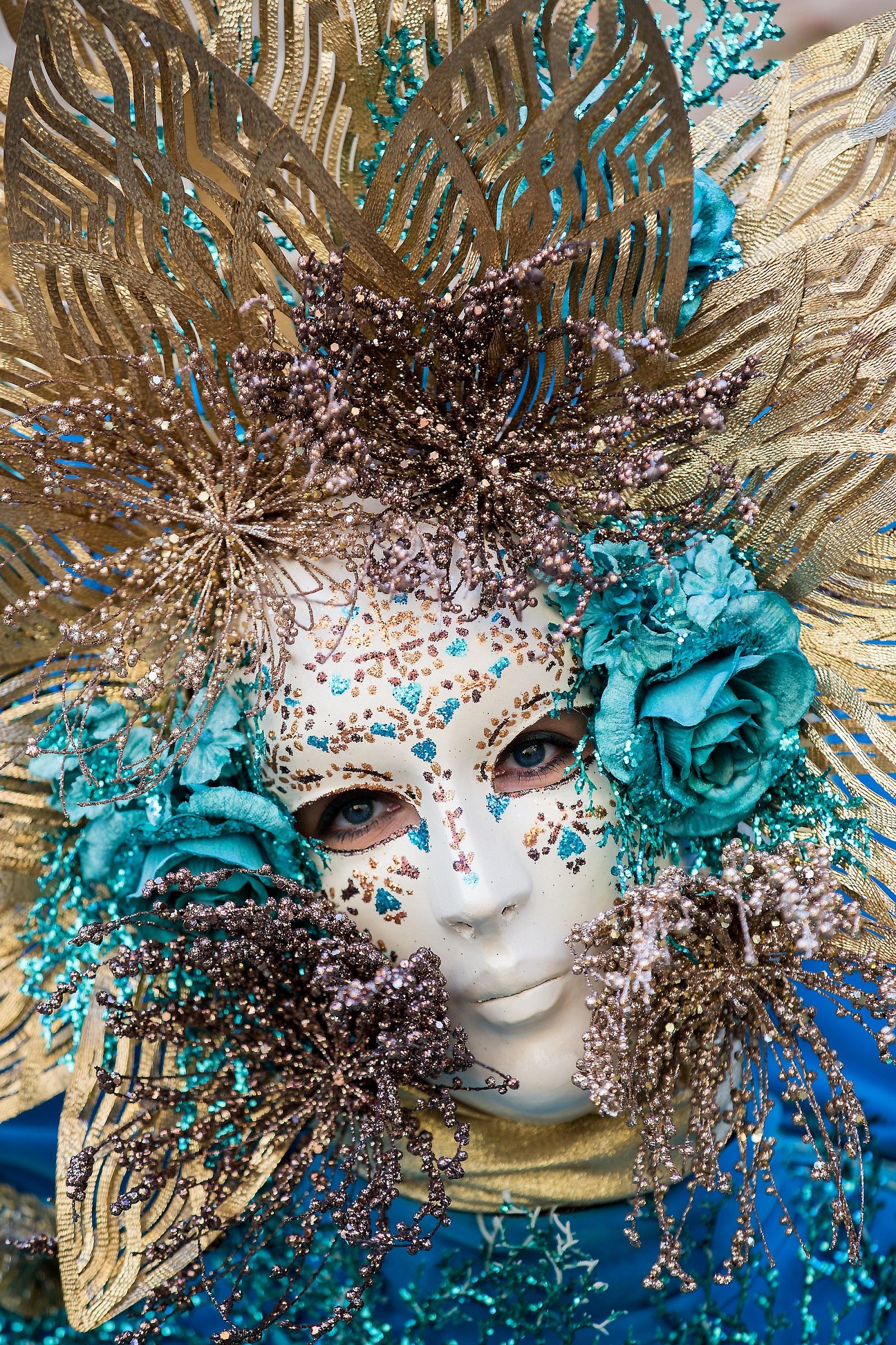 Carnival of the sons of Bocco