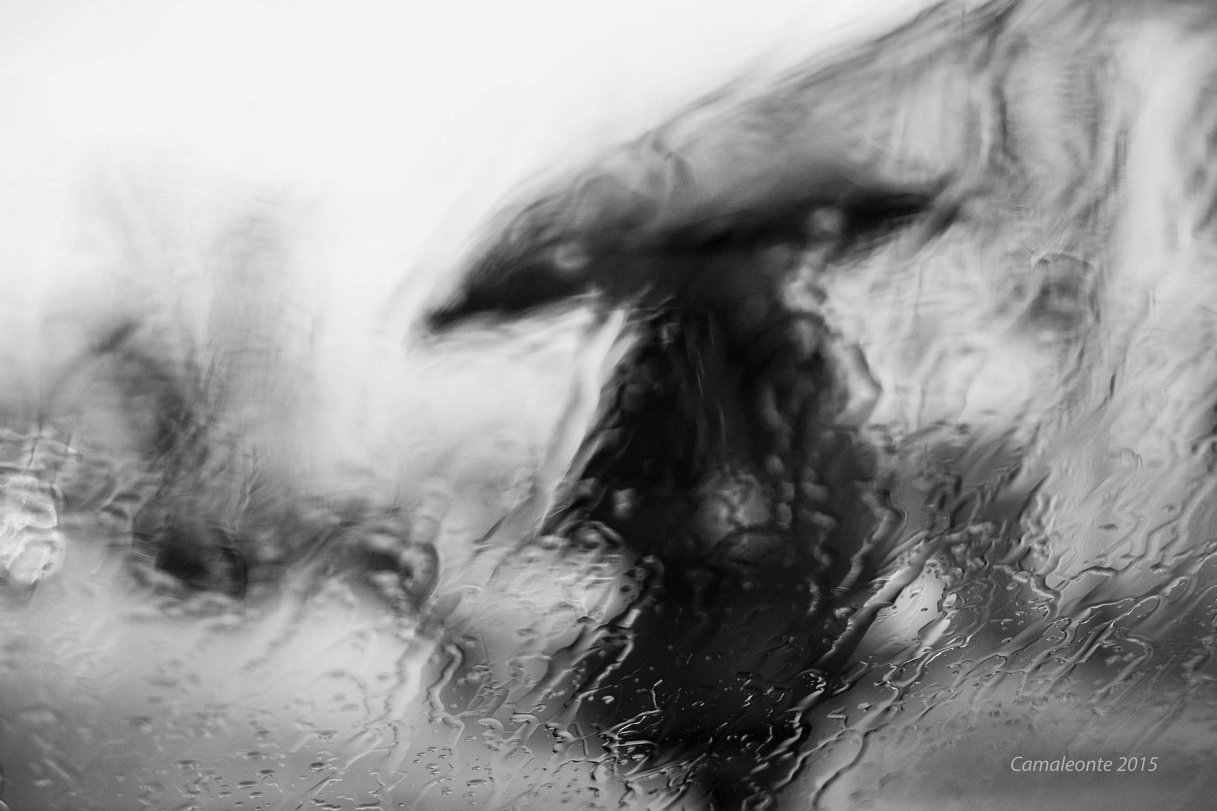 L'immagine sbiadisce