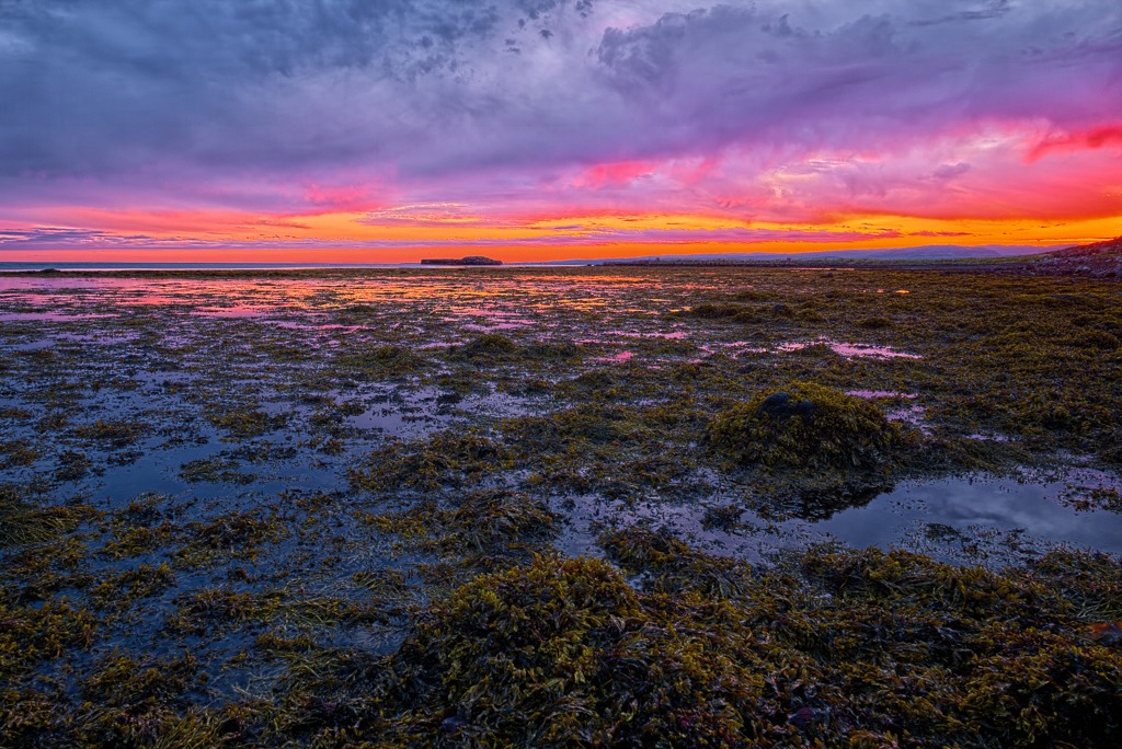 Icelandic Red Sunset