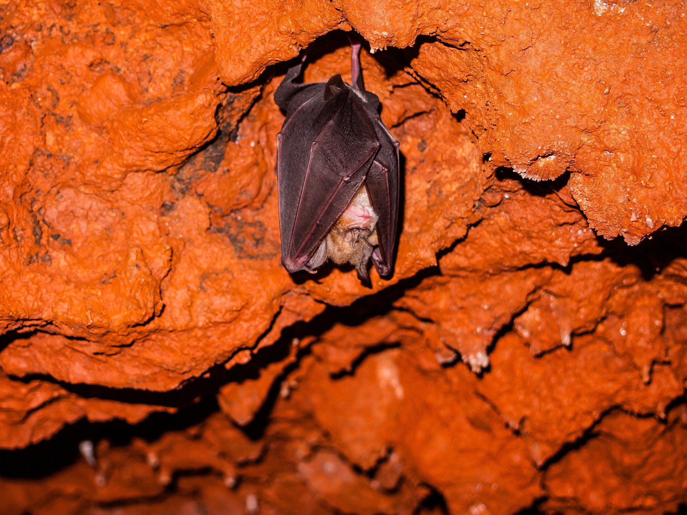 an unexpected friend