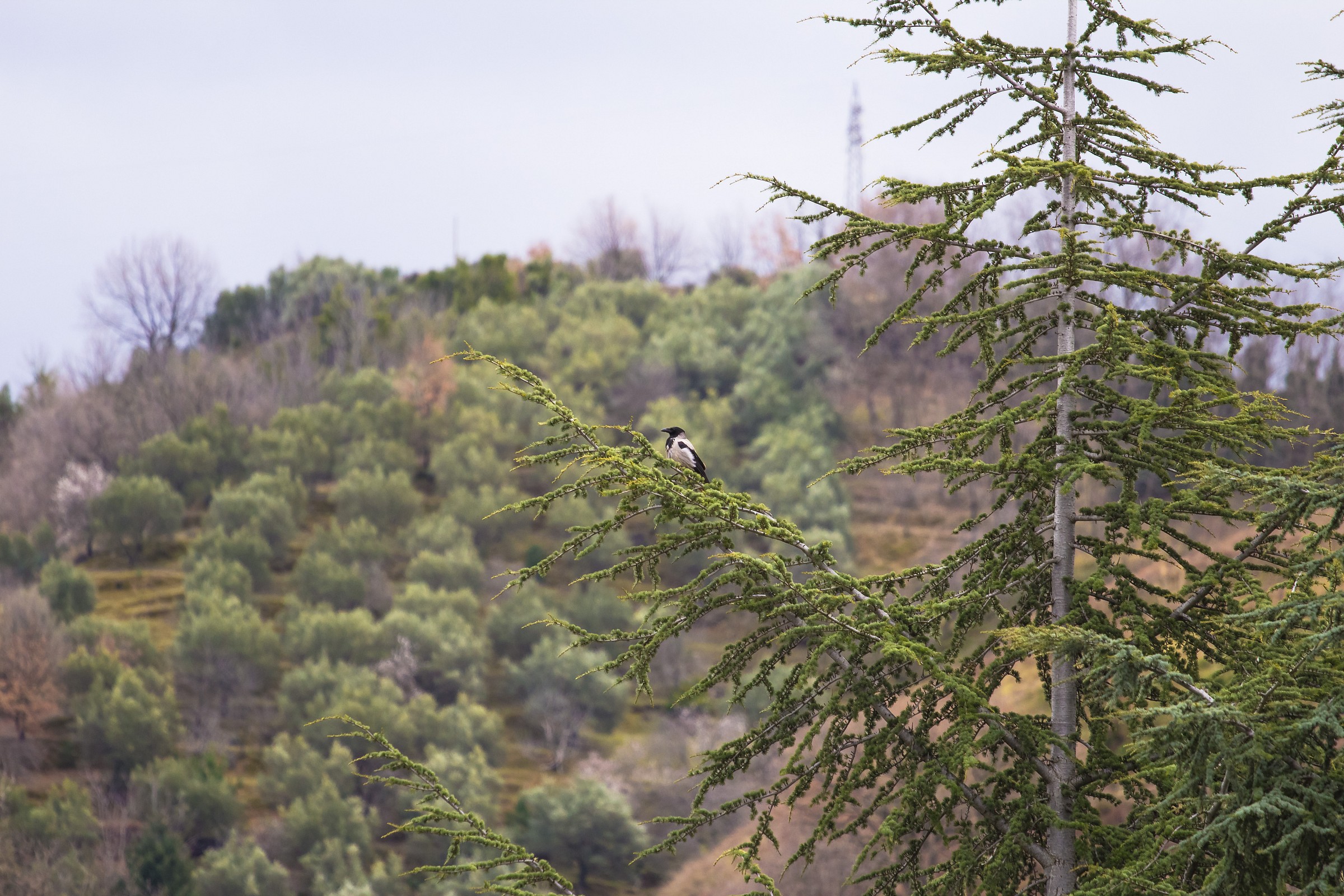 A glance out the window ...