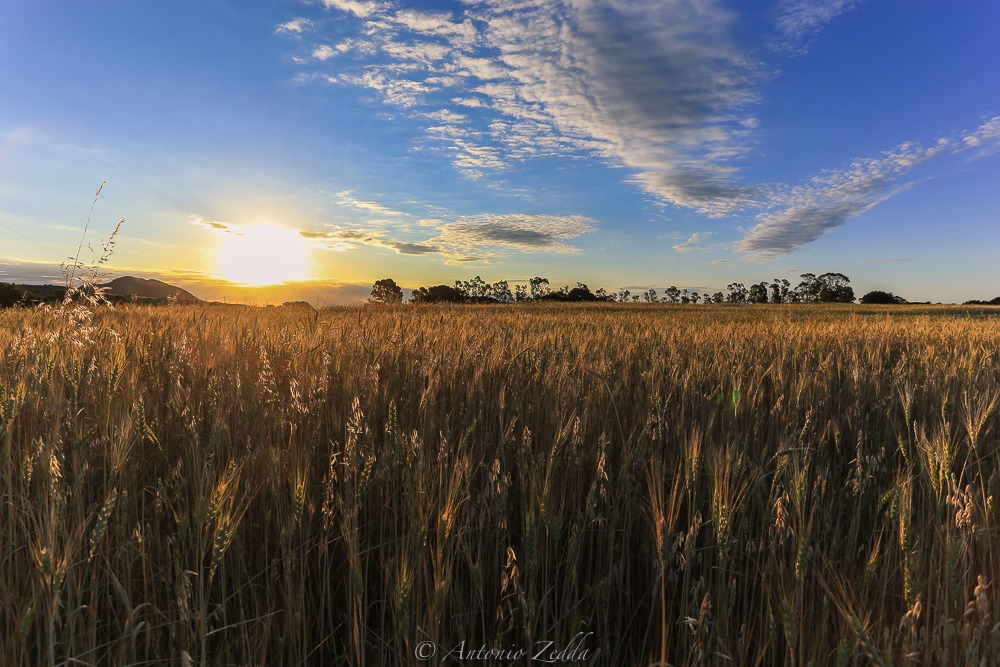 Waiting for the summer