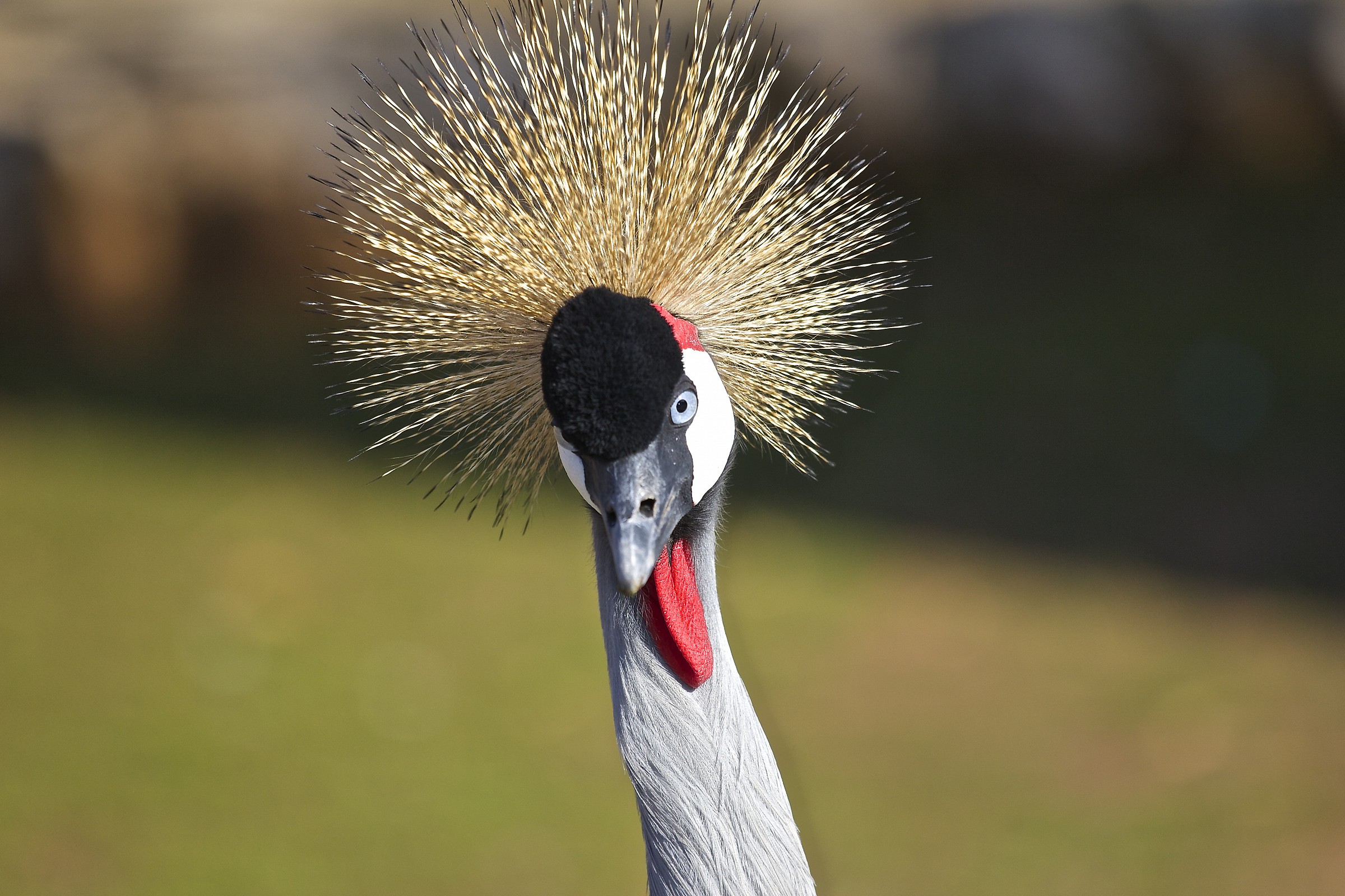 I do not know what it is