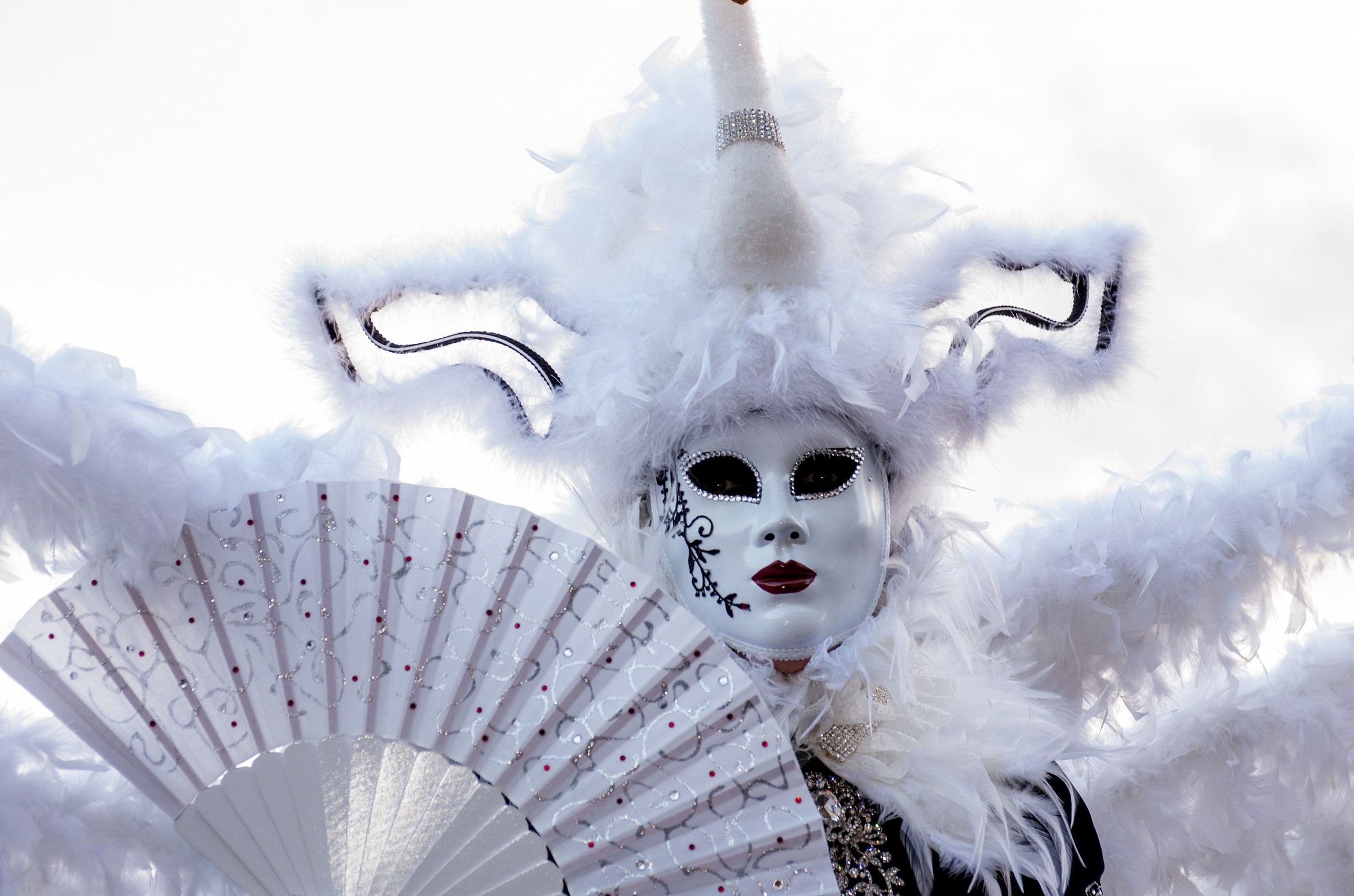 Venice Carnival 2015 the eyes of the masks