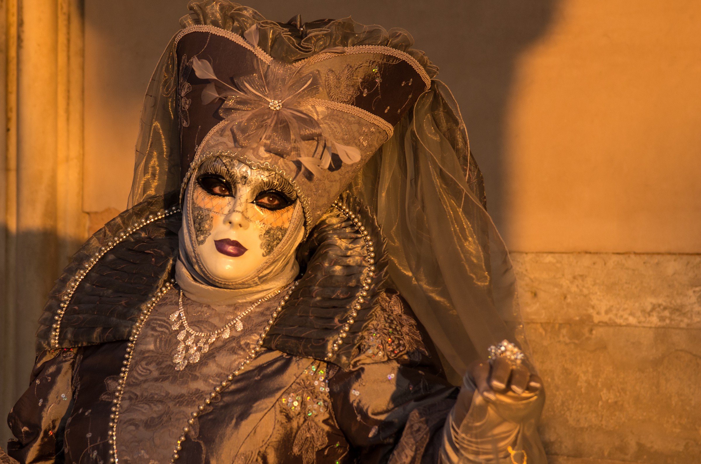 Venice Carnival 2015 the eyes of the masks