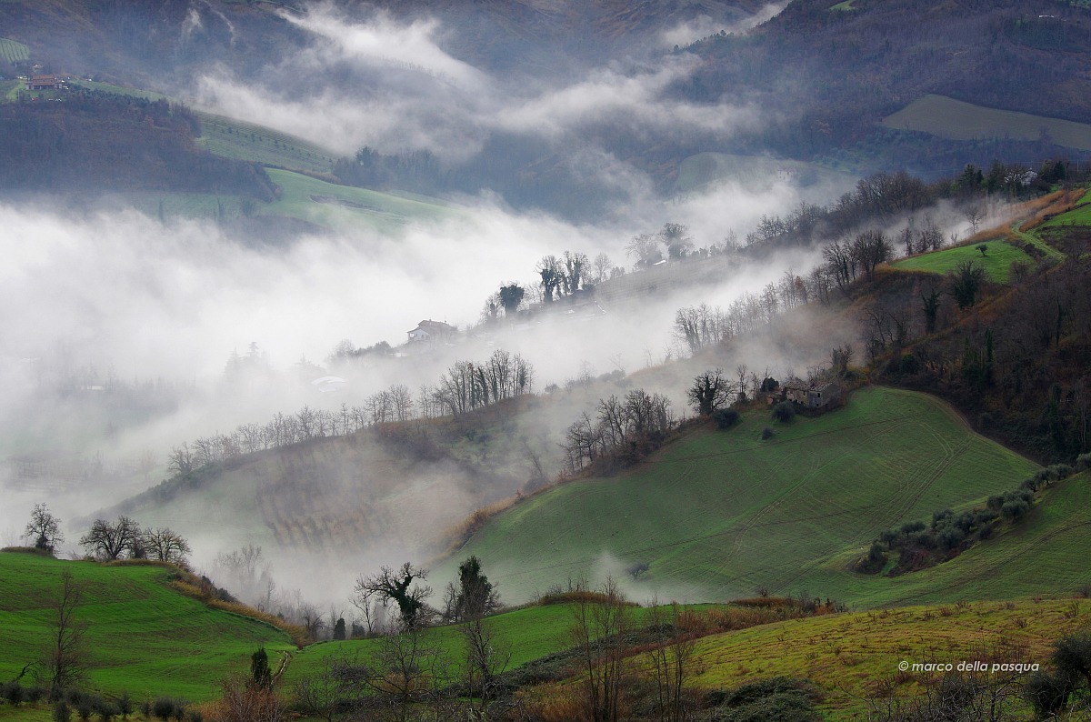 Fog in the valley
