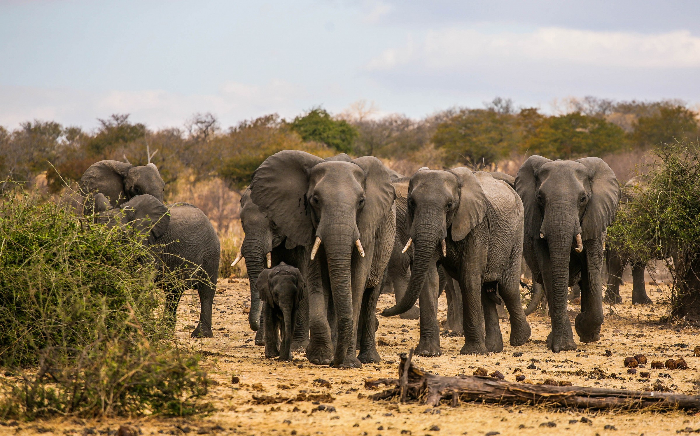 Esercito di giganti 2