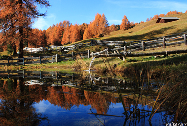 reflection of autumn