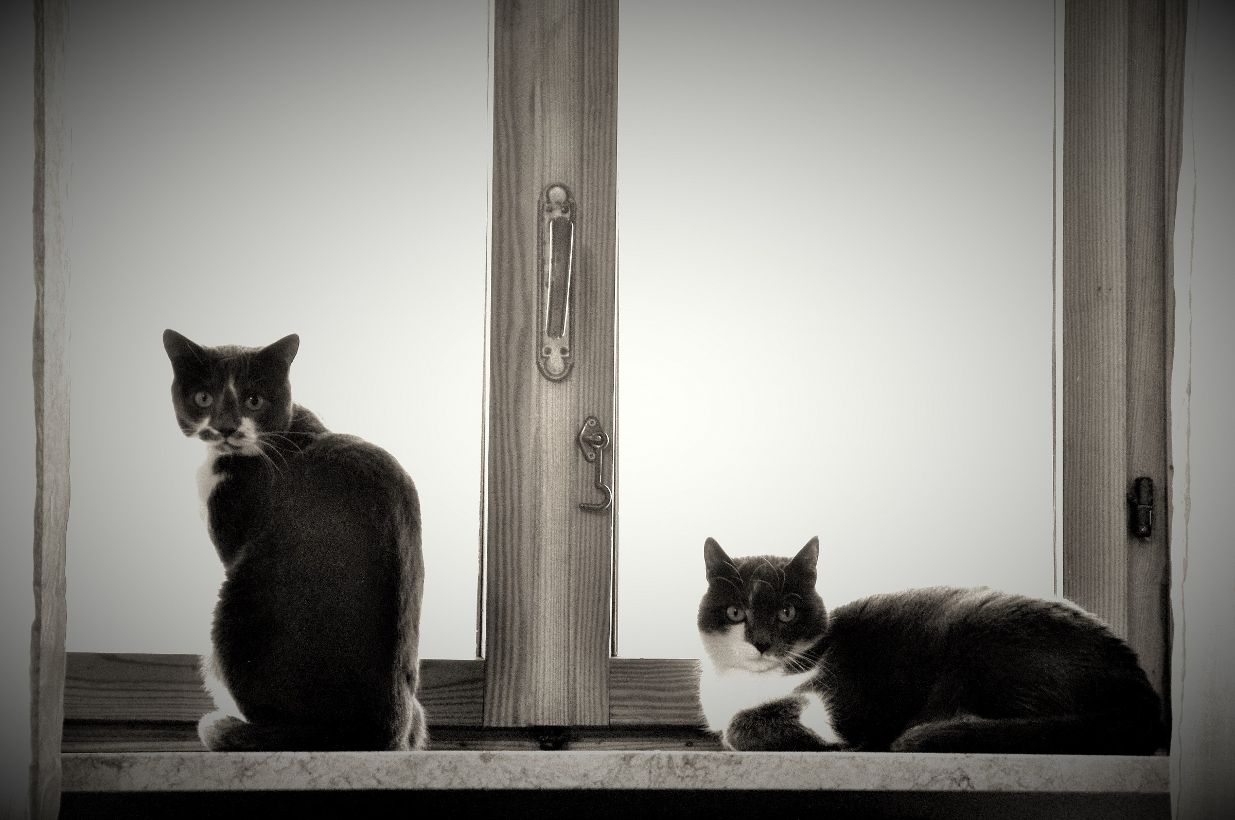 .....desidera?!?!...