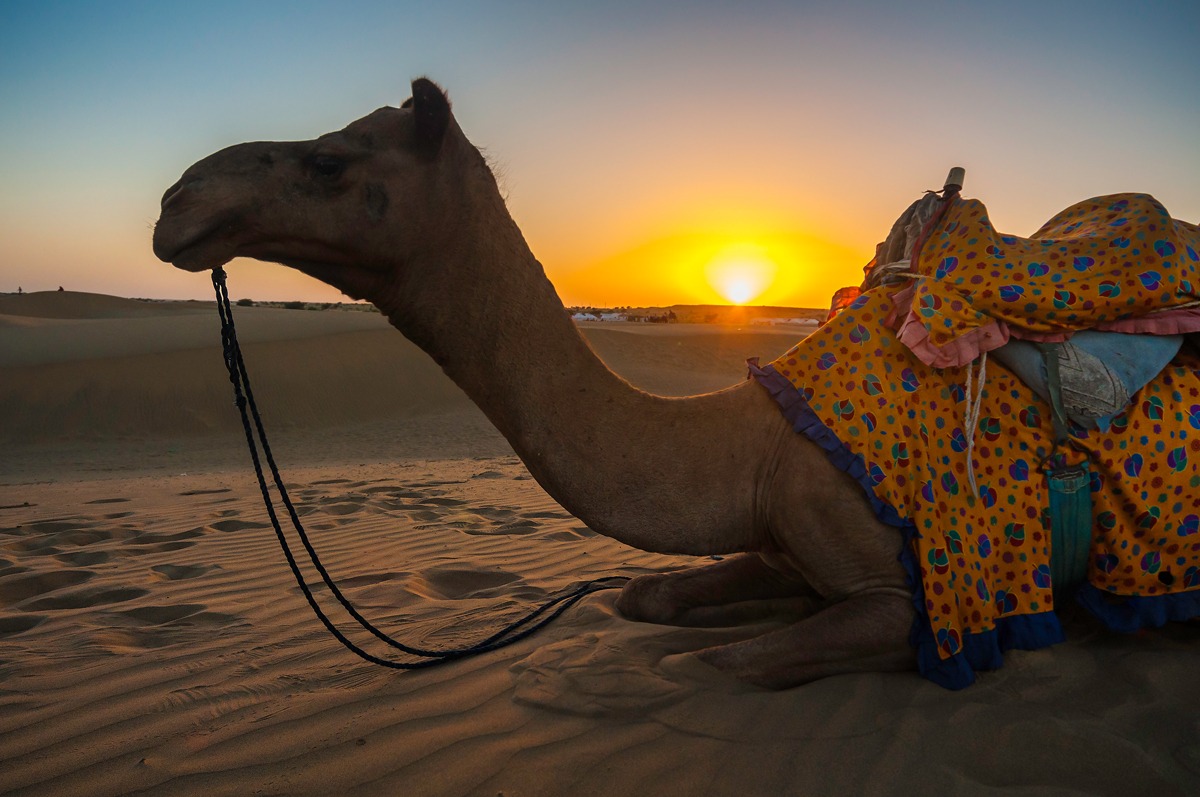 Tramonto nel deserto