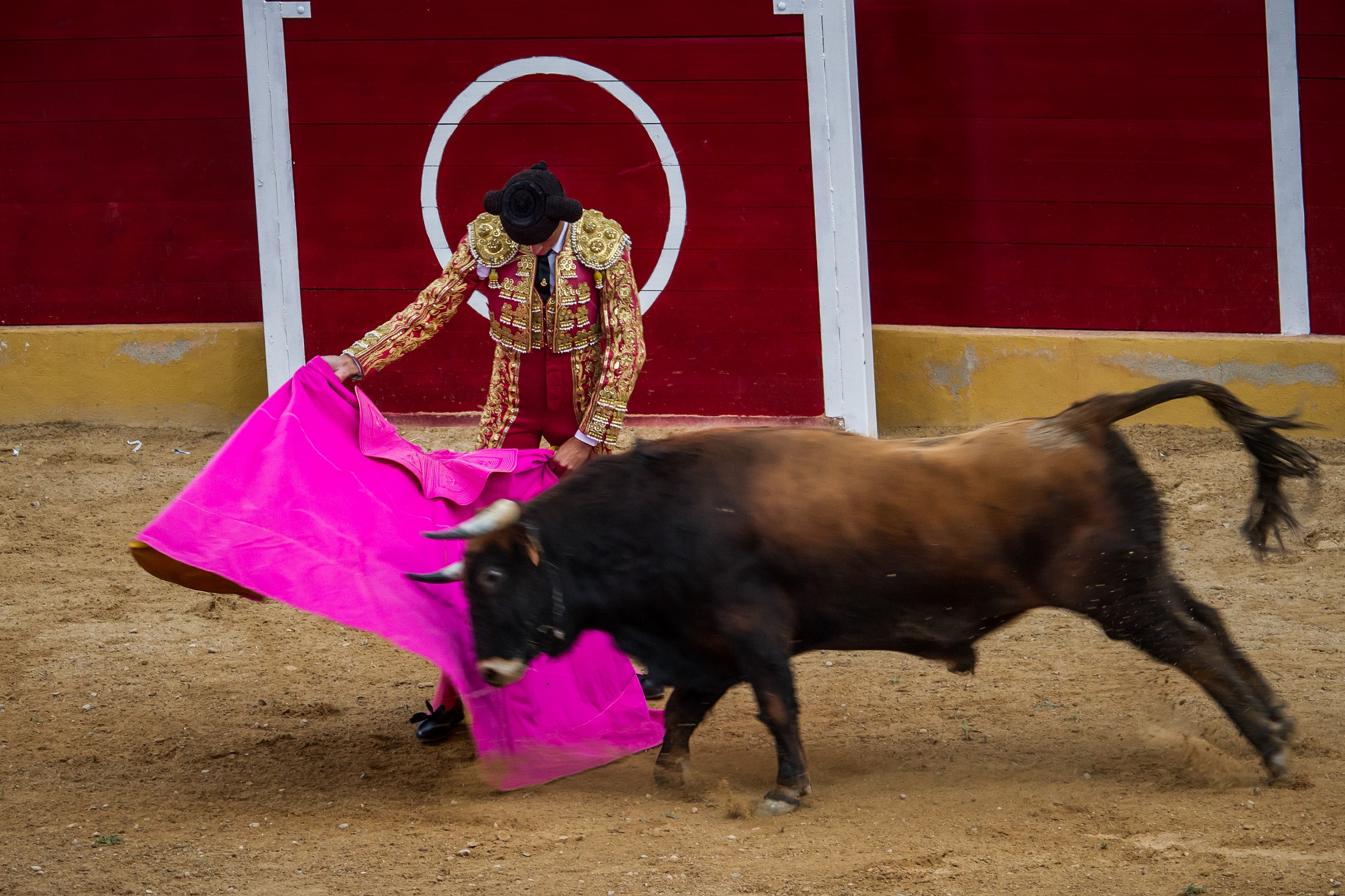 Bullfight