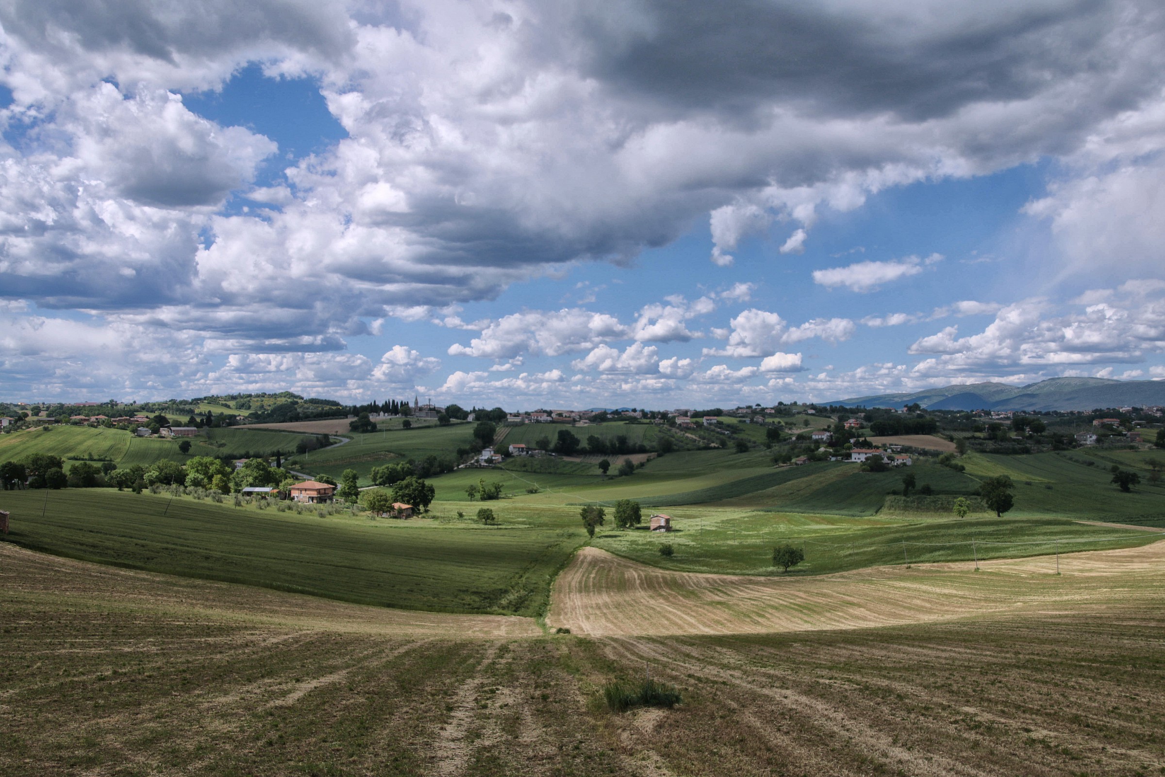 Giornata particolare