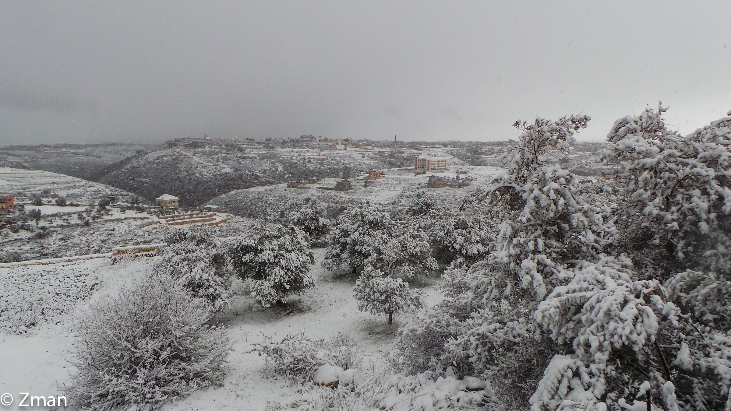 Windy portato un sacco di neve