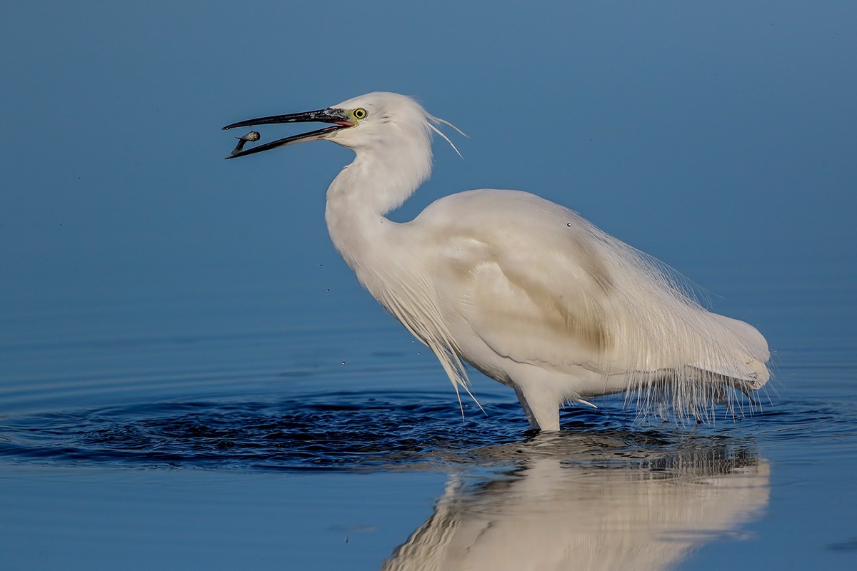 Prima foto fatta con Canon 7D Matk II