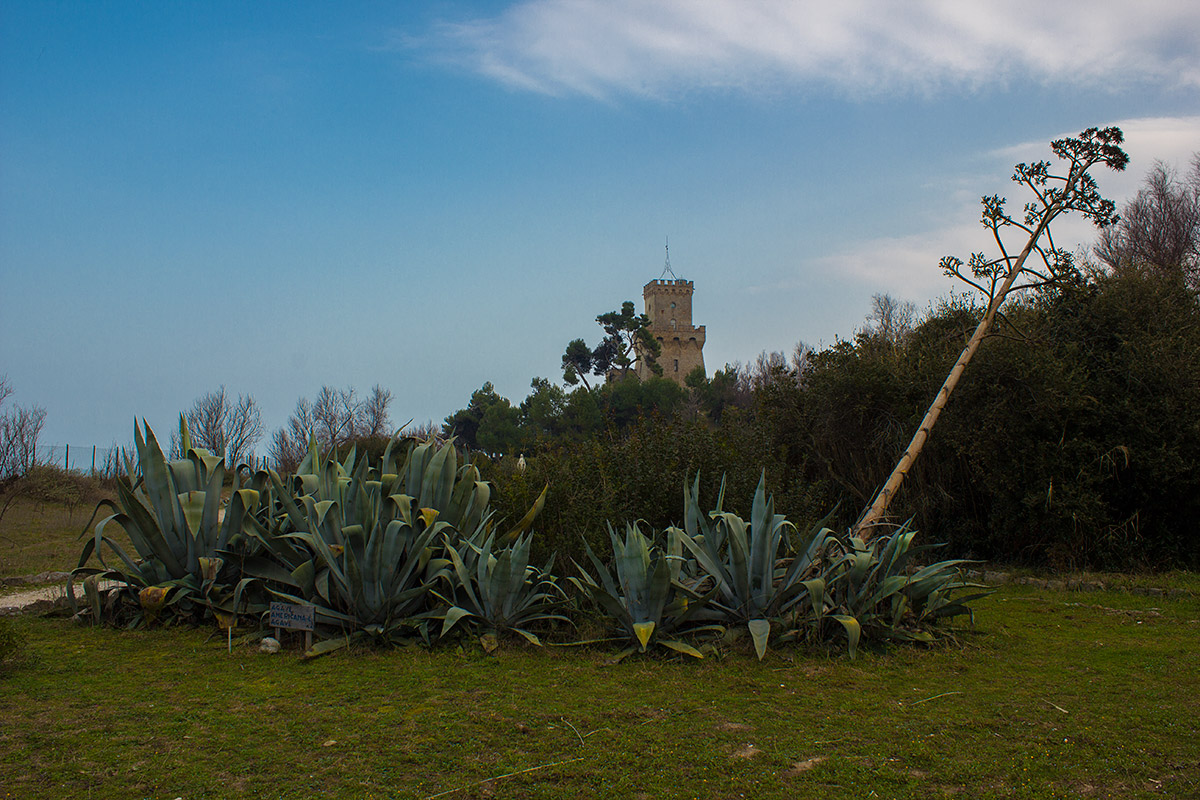 Torre di Cerrano (Abruzzo)