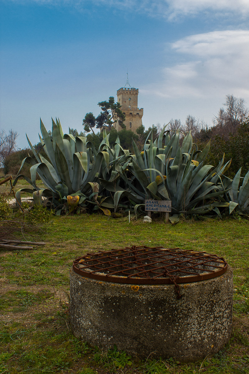 Torre di Cerrano (Abruzzo)