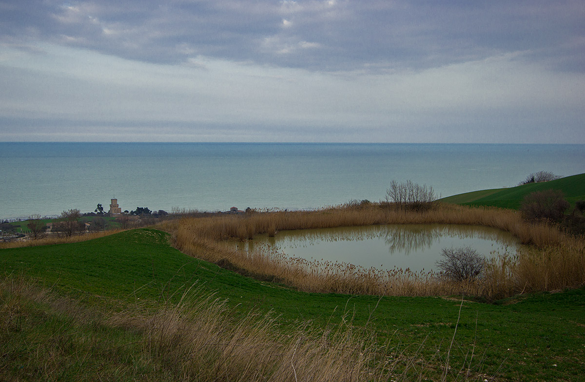 Nei pressi della Torre di Cerrano (Abruzzo)