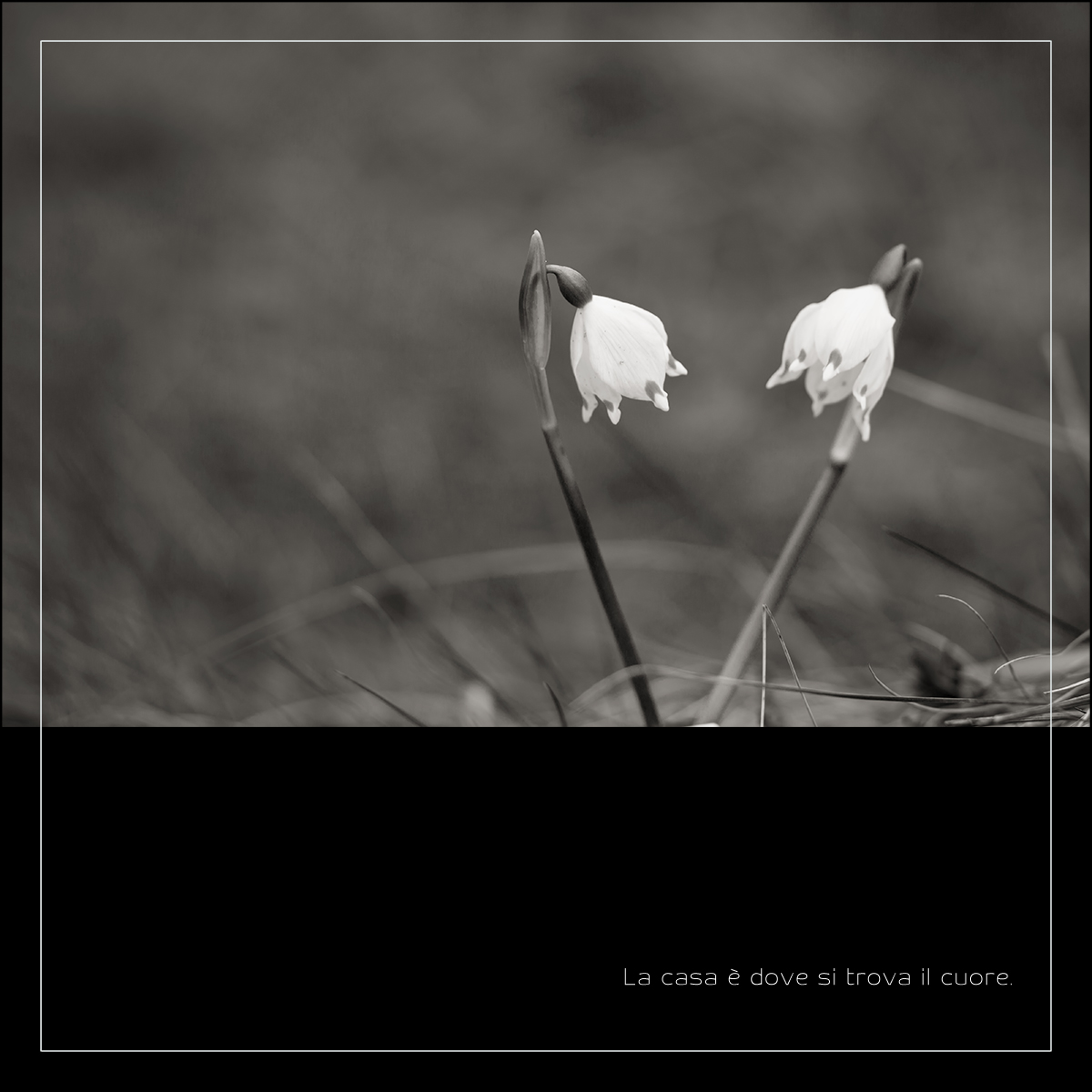 Home is where the heart is