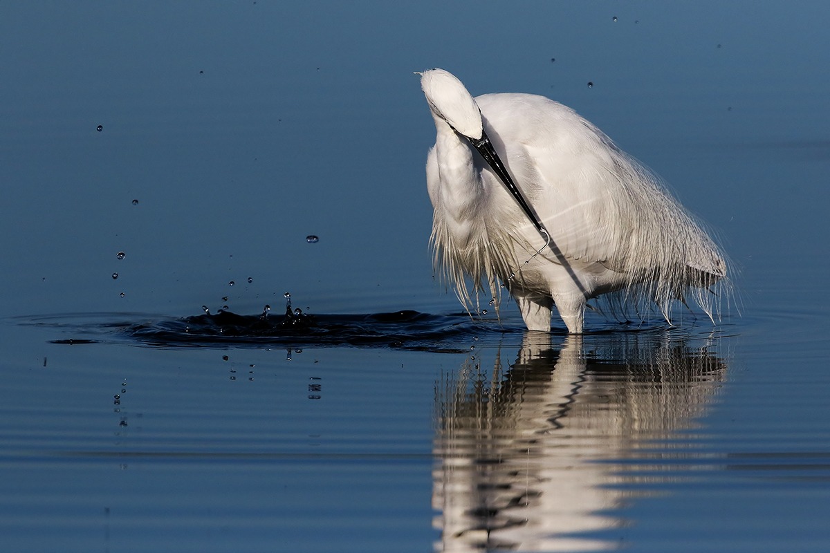 Ho fatto un buco nell'acqua