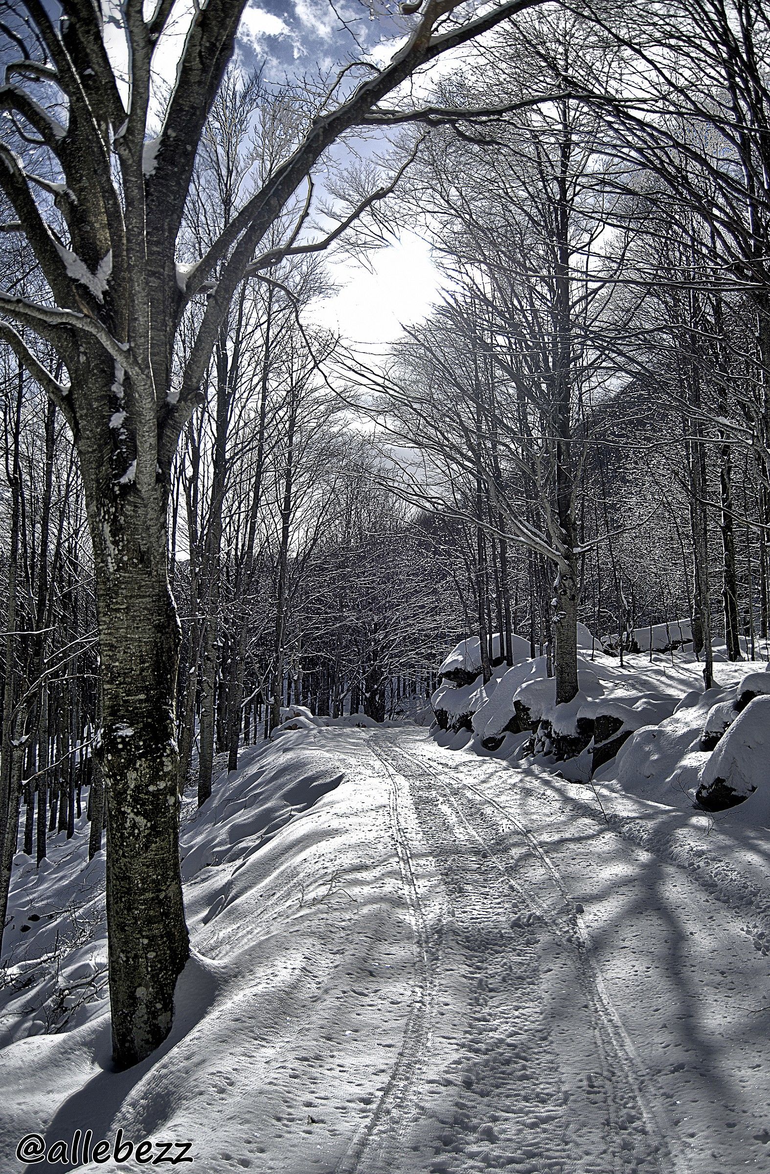 Verso il Rifugio Lagoni (Corniglio PR) #1