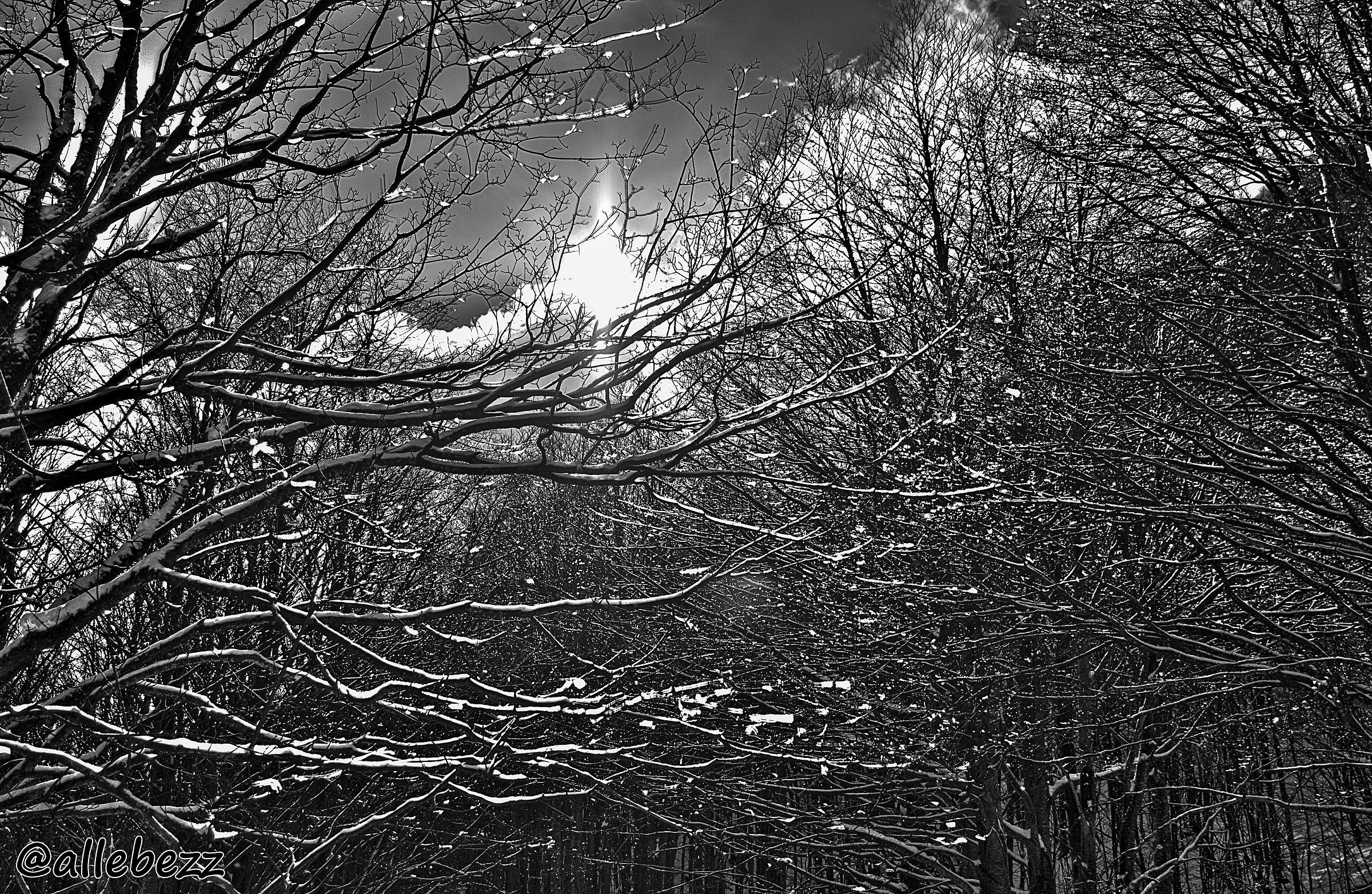 To Rifugio Lagoni (Corniglio PR) # 3