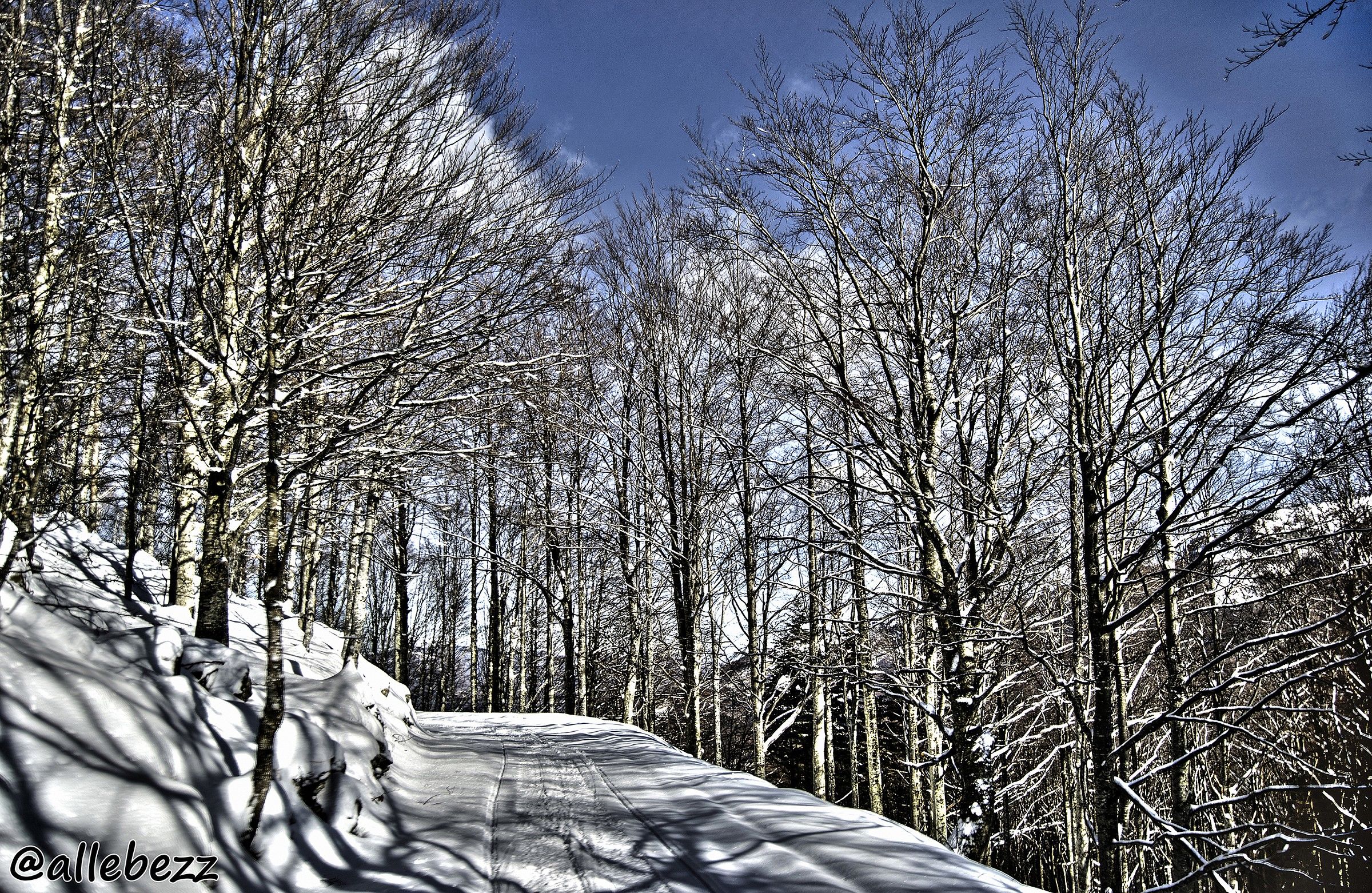 To Rifugio Lagoni (Corniglio PR) # 2