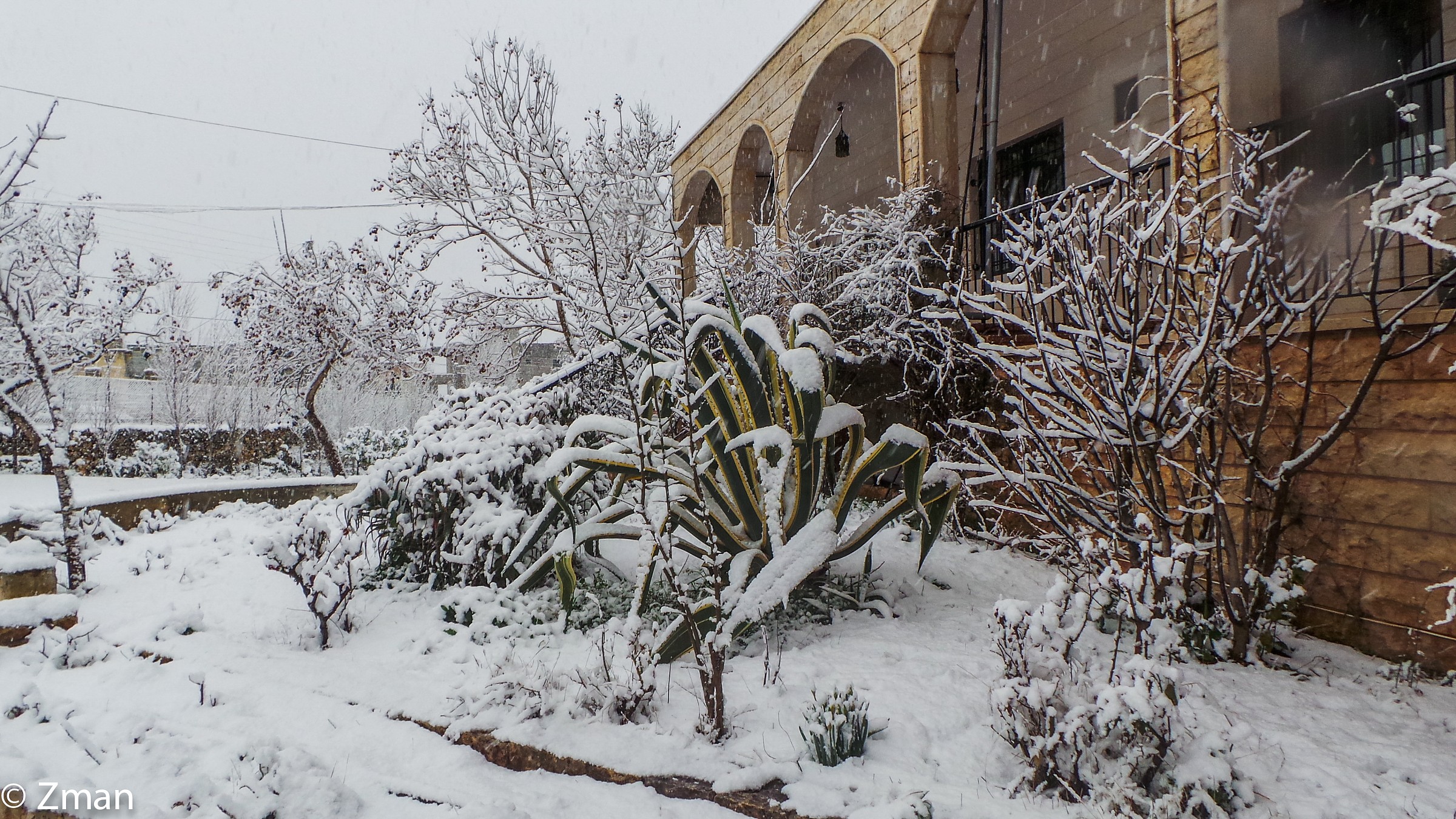 Windy portato un sacco di neve