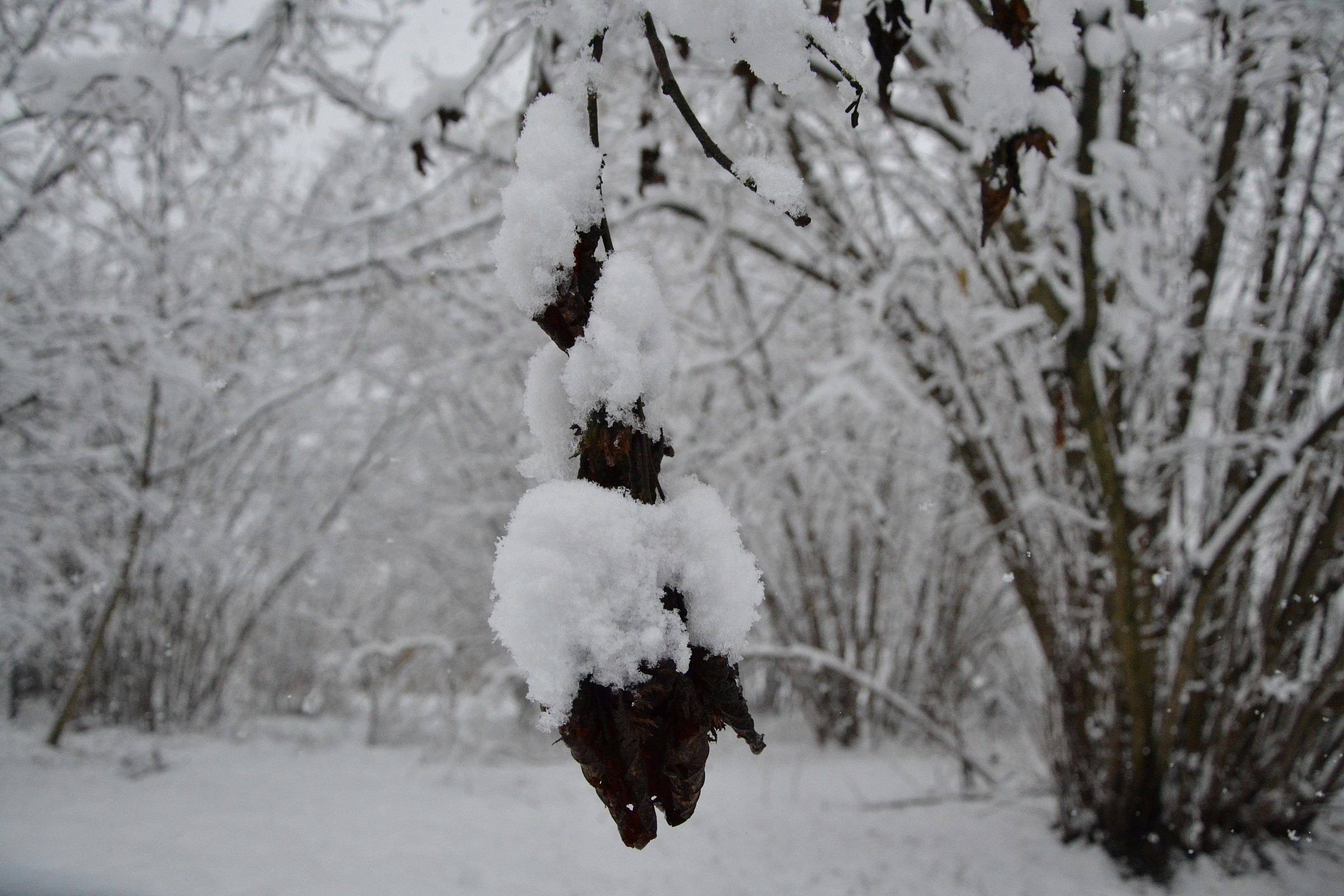 I feel weighed down !! : D