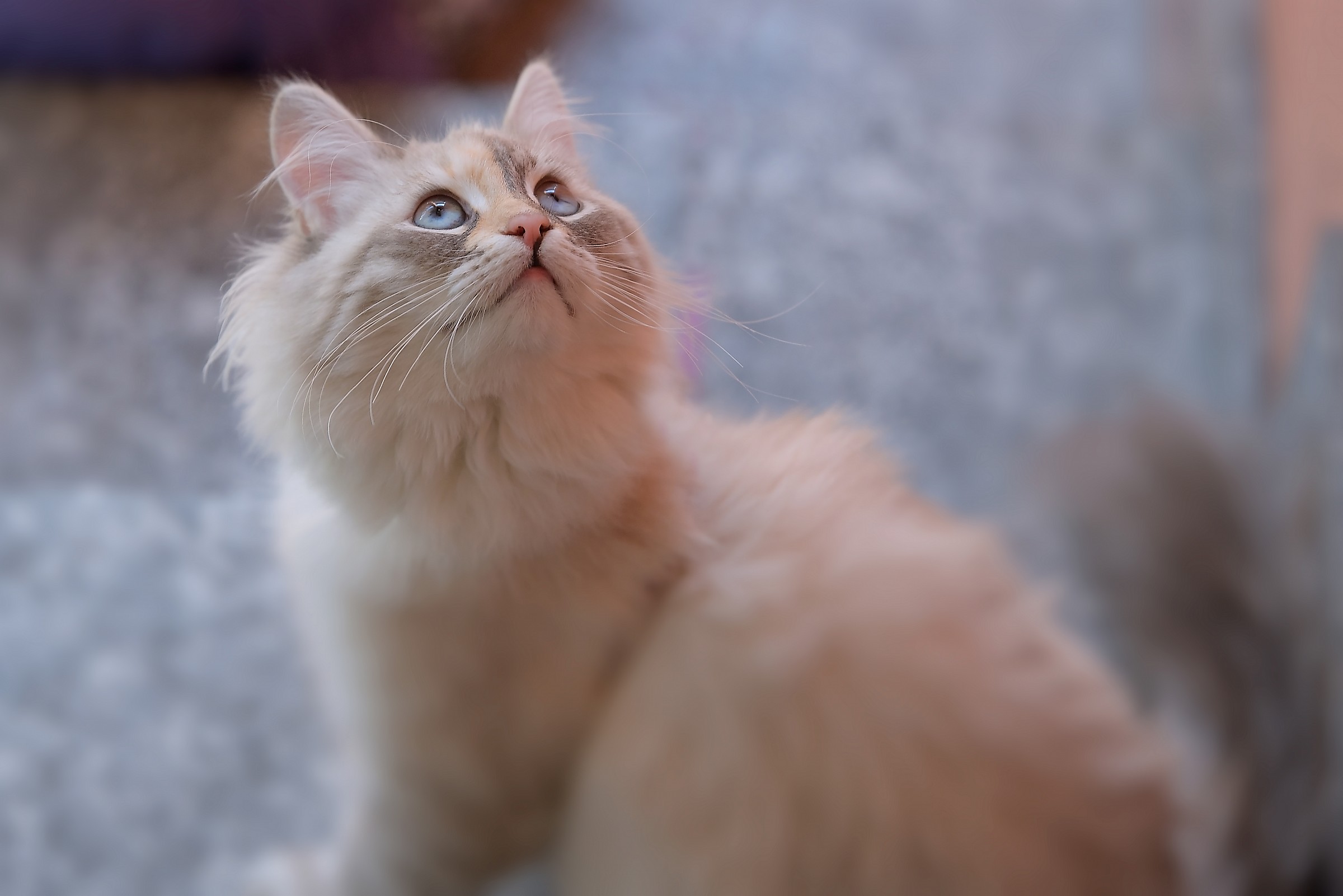 Guardando verso il cielo!!!!