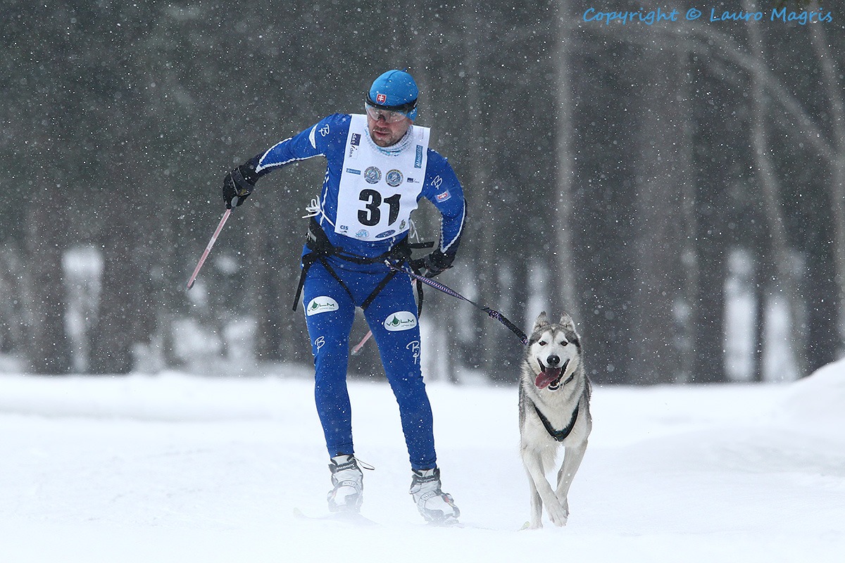 Skijoring