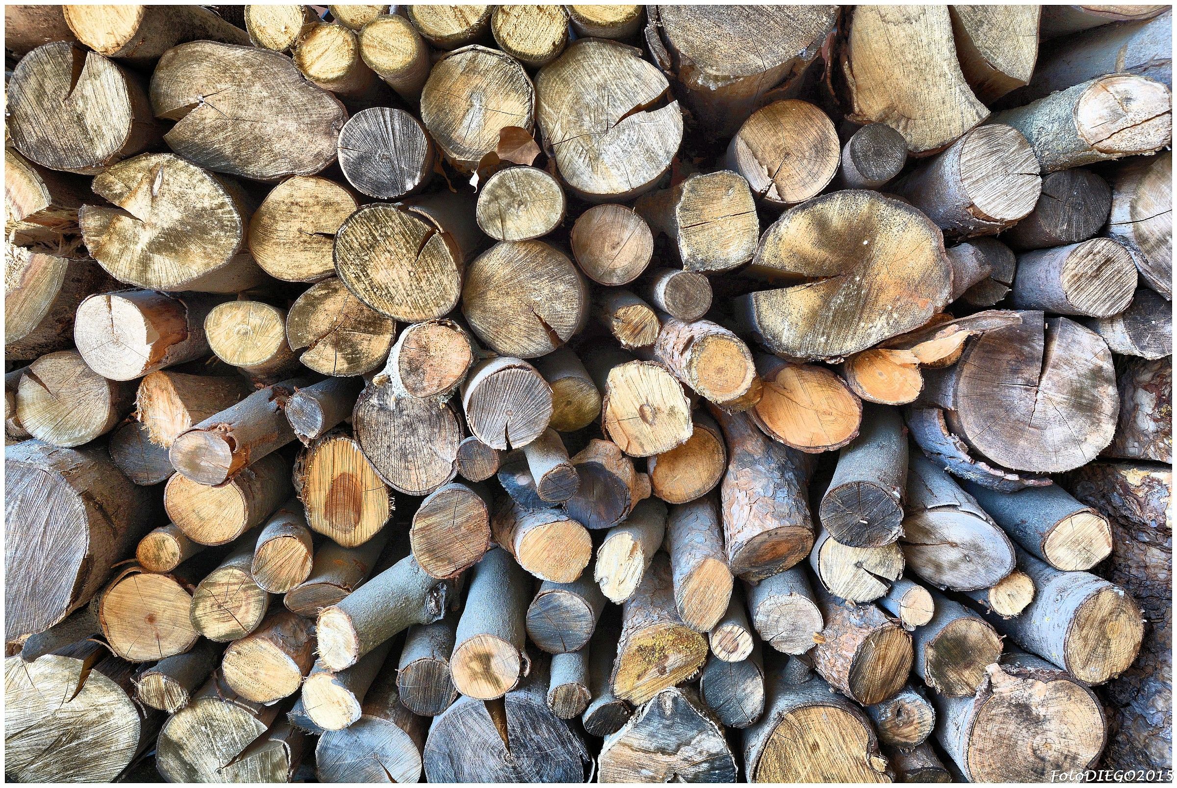 Waiting for the fireplace